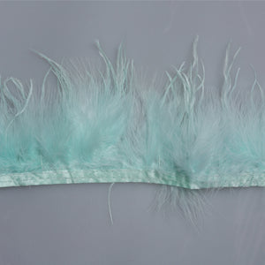 Pene Lebada si strut M17 - Ahura