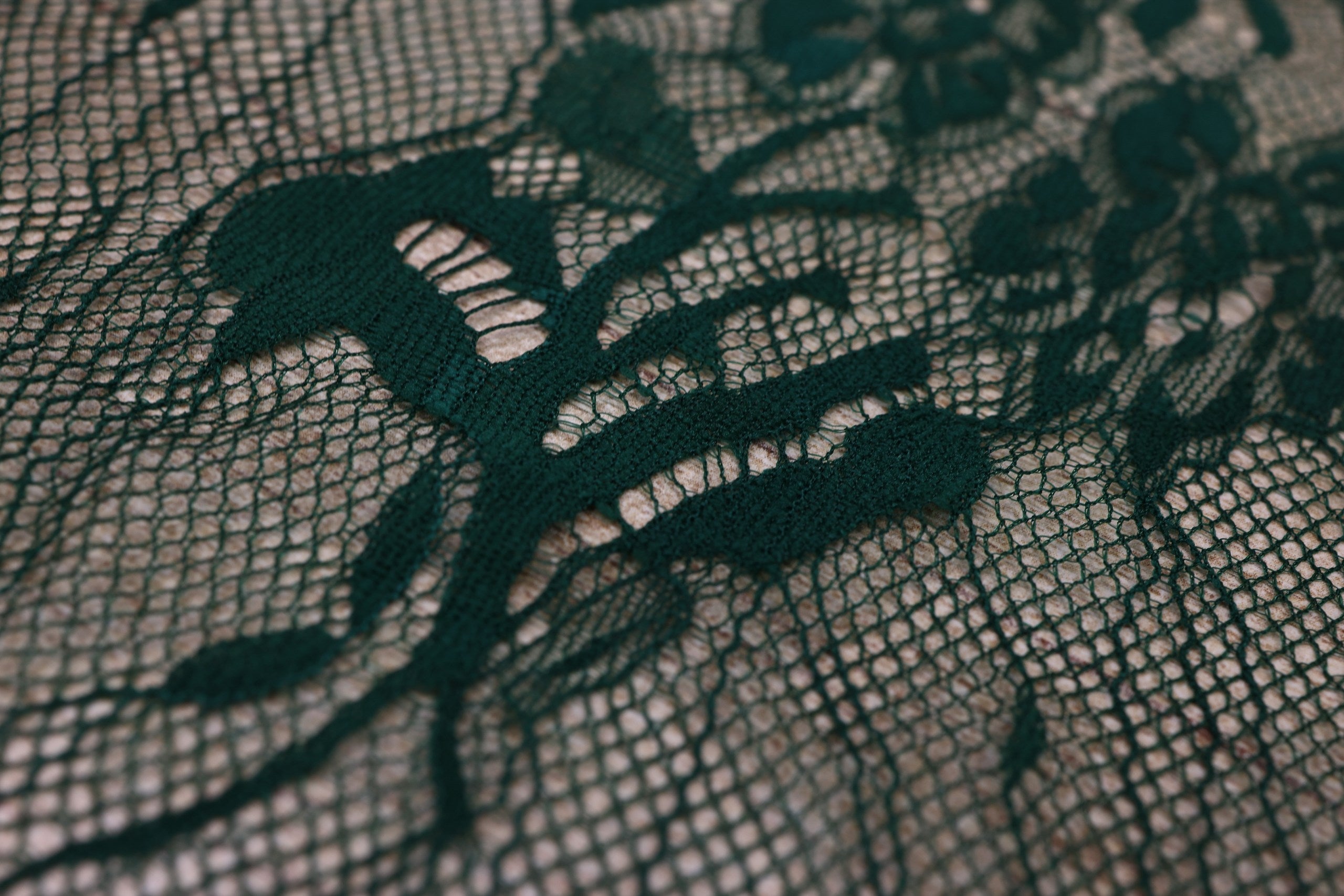 Dantela Chantilly Verde - 116