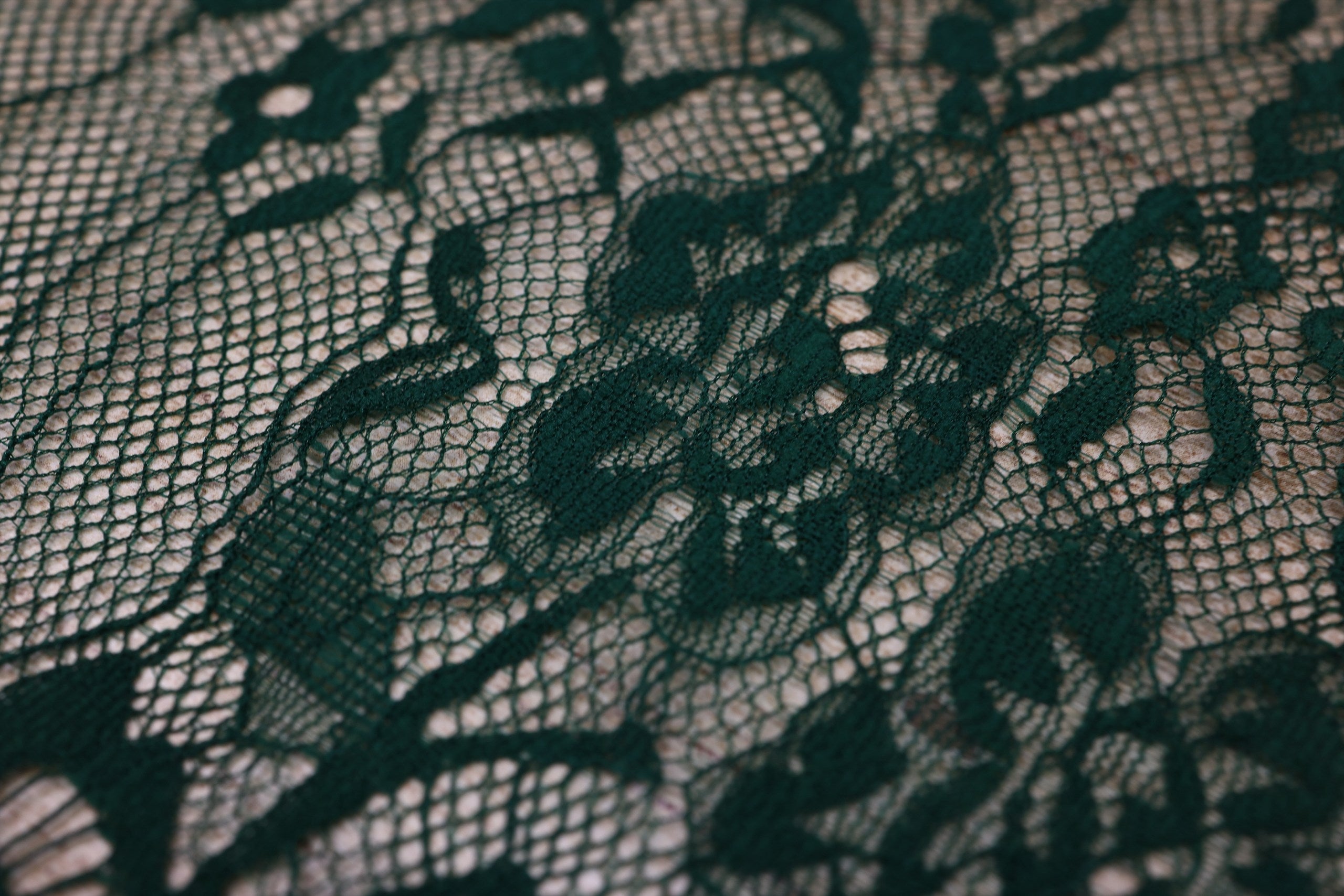 Dantela Chantilly Verde - 116