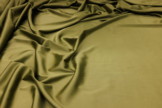 Tafta Elastica Premium - Olive