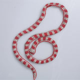 Aplicatii cu strasuri M12 - Ahura