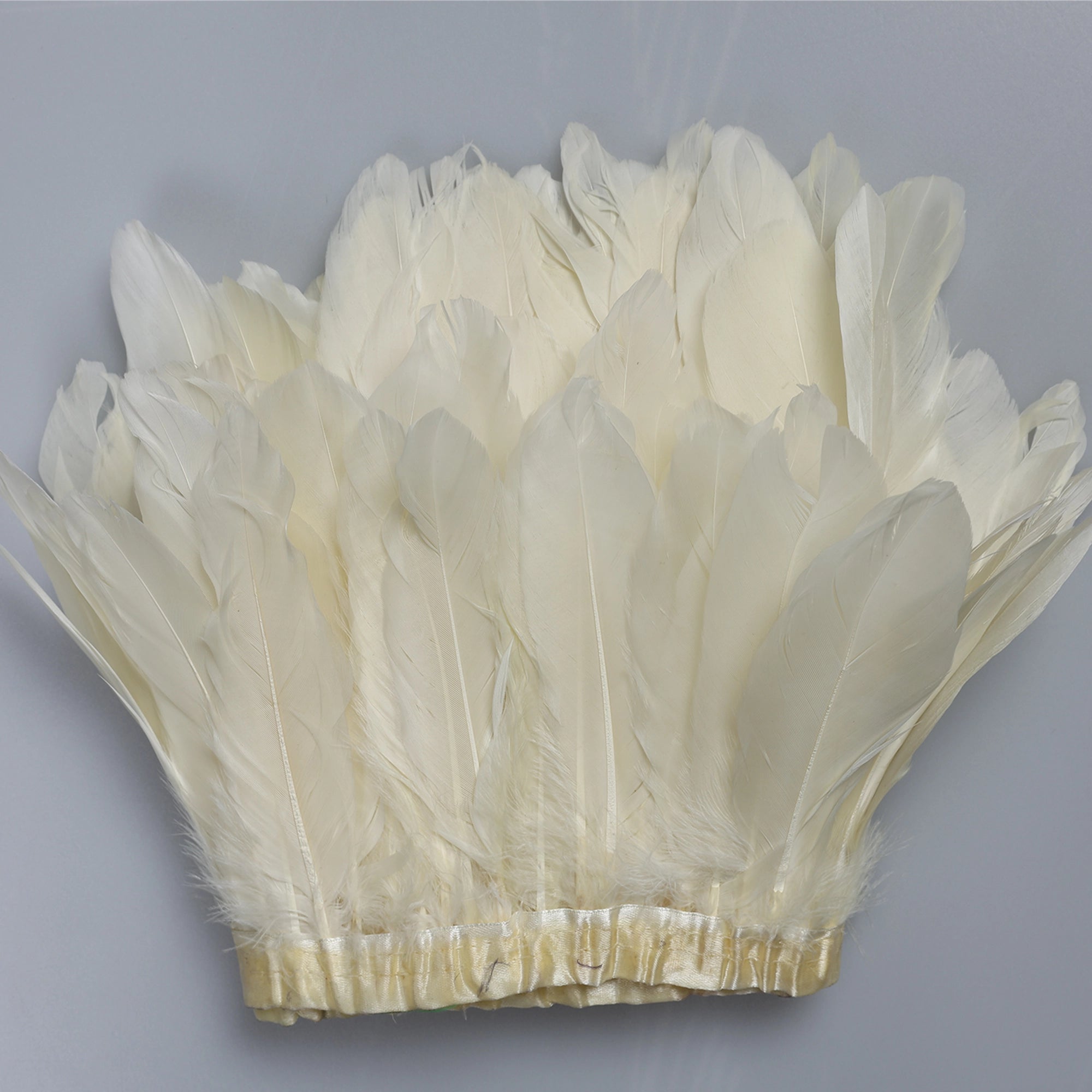 pene 2M M196 - Ahura