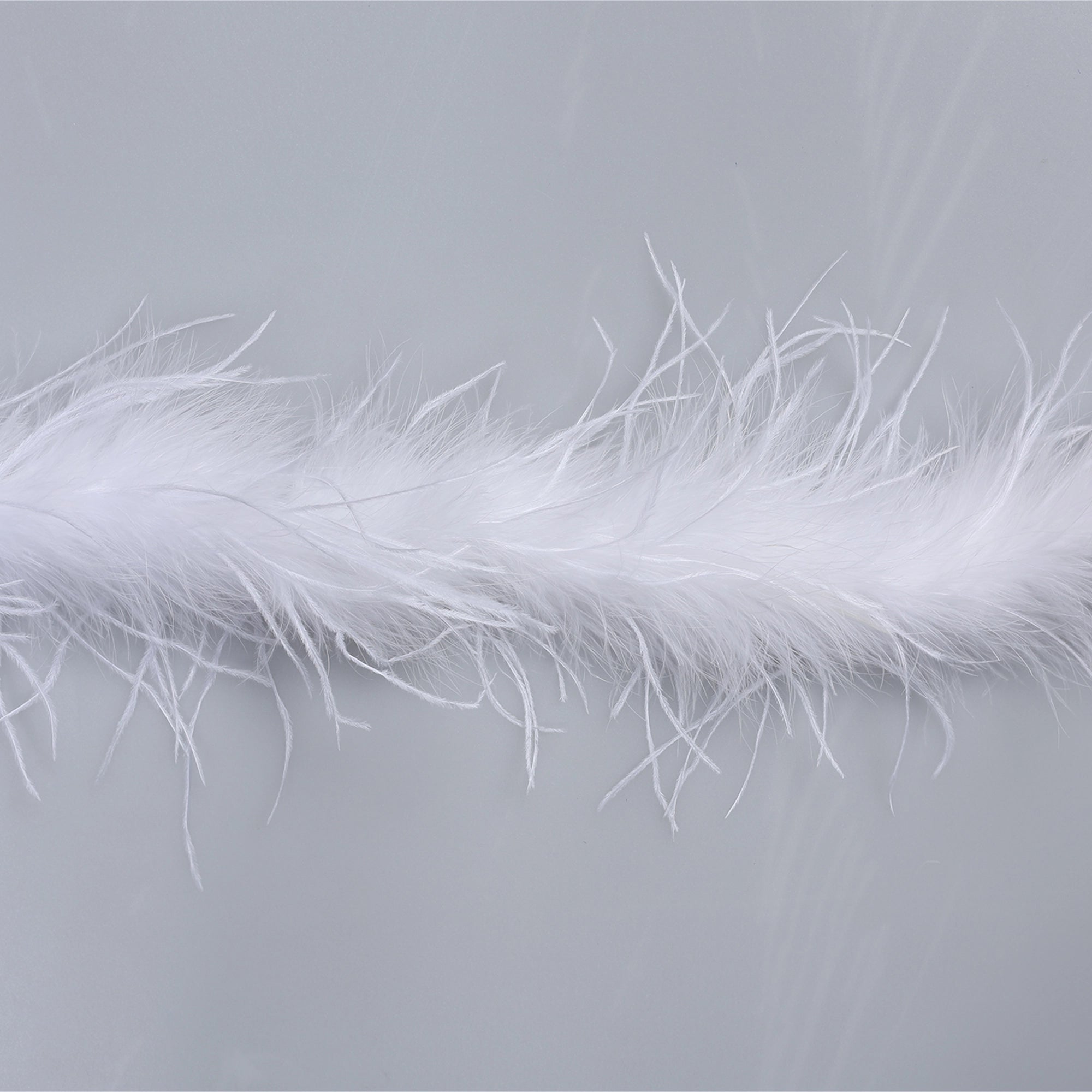 Sal din Pene de Strut M5