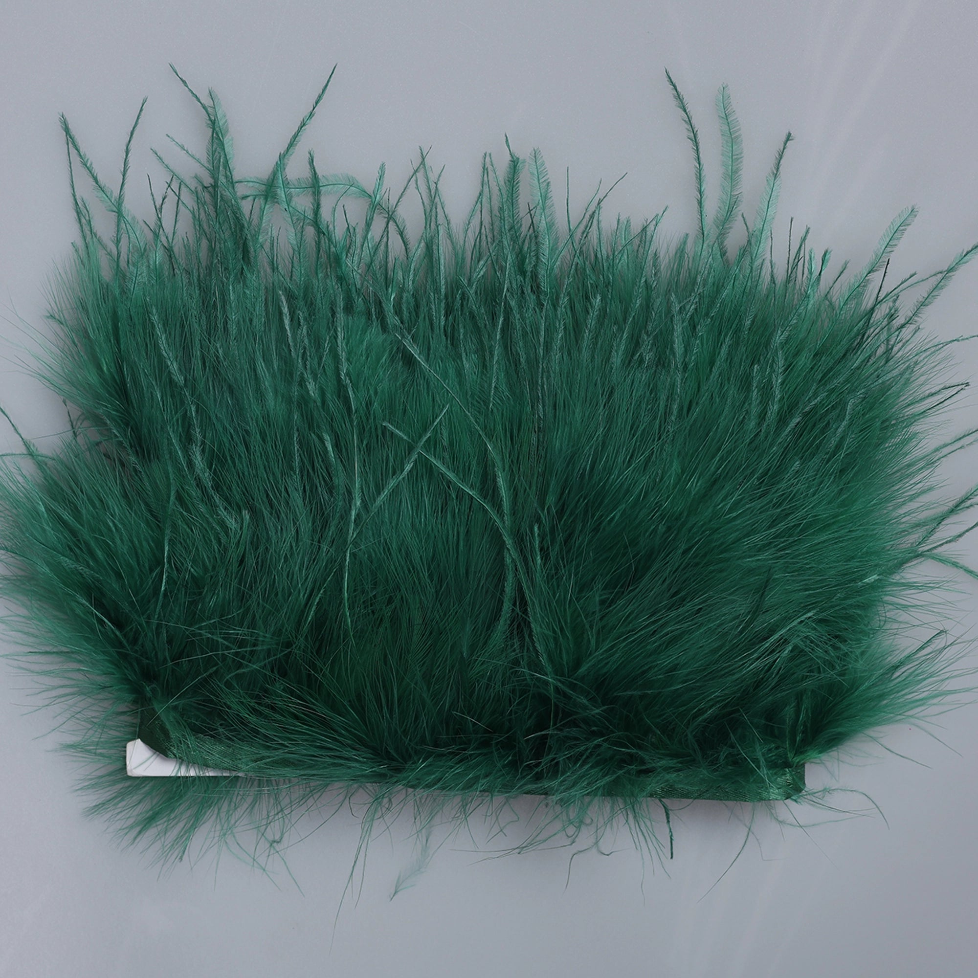 Pene Lebada si strut M13