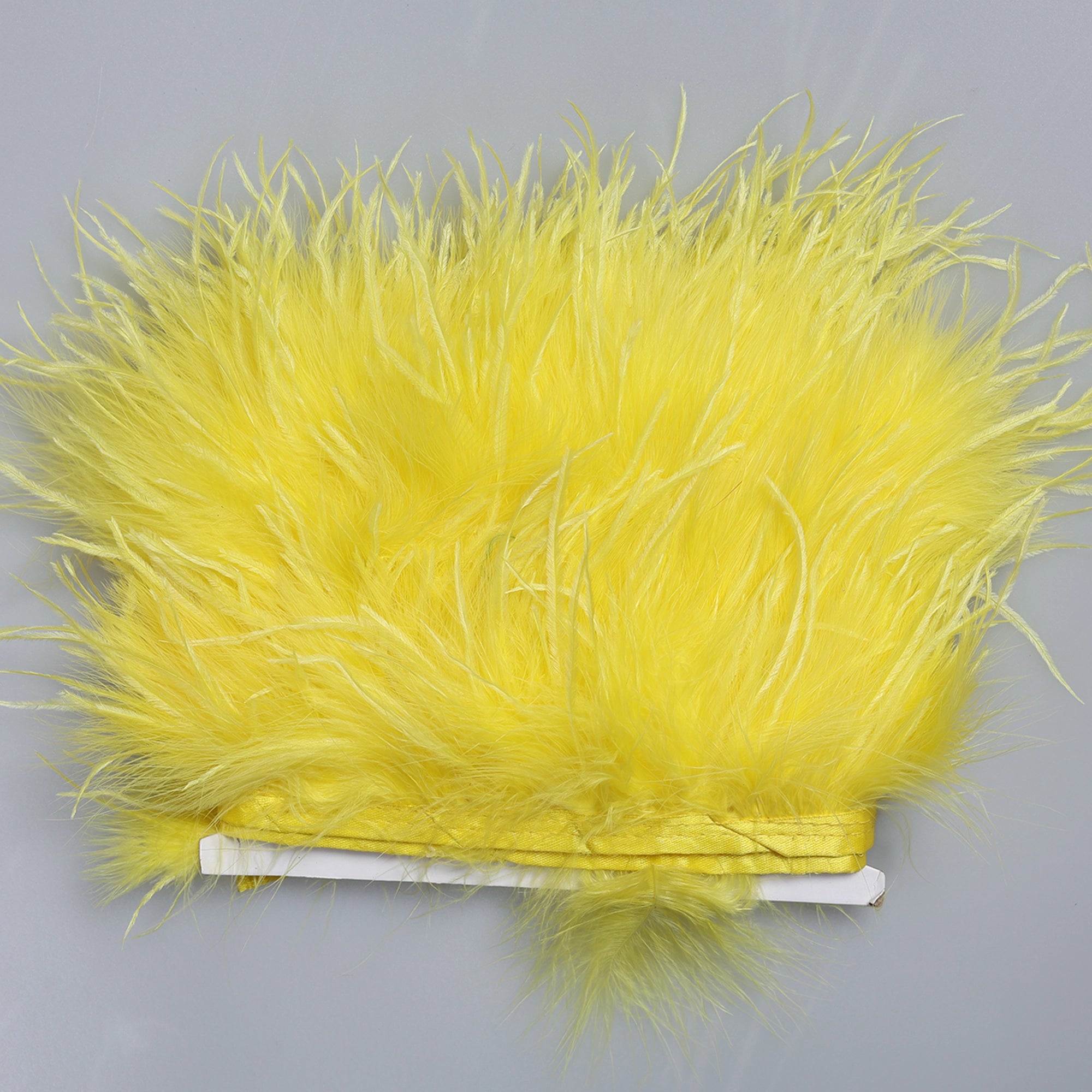 Pene Lebada si strut M19