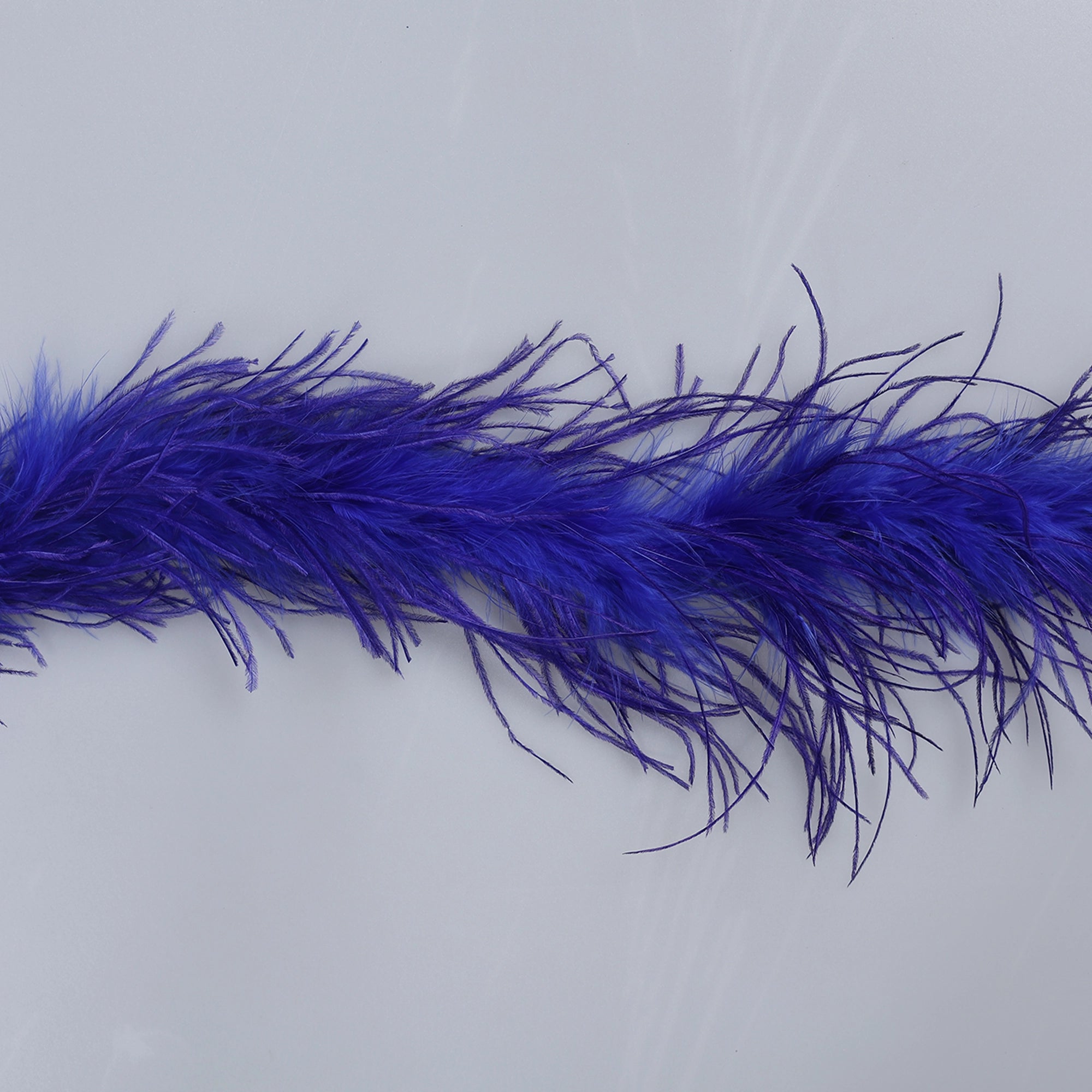 Sal din Pene de Strut M6