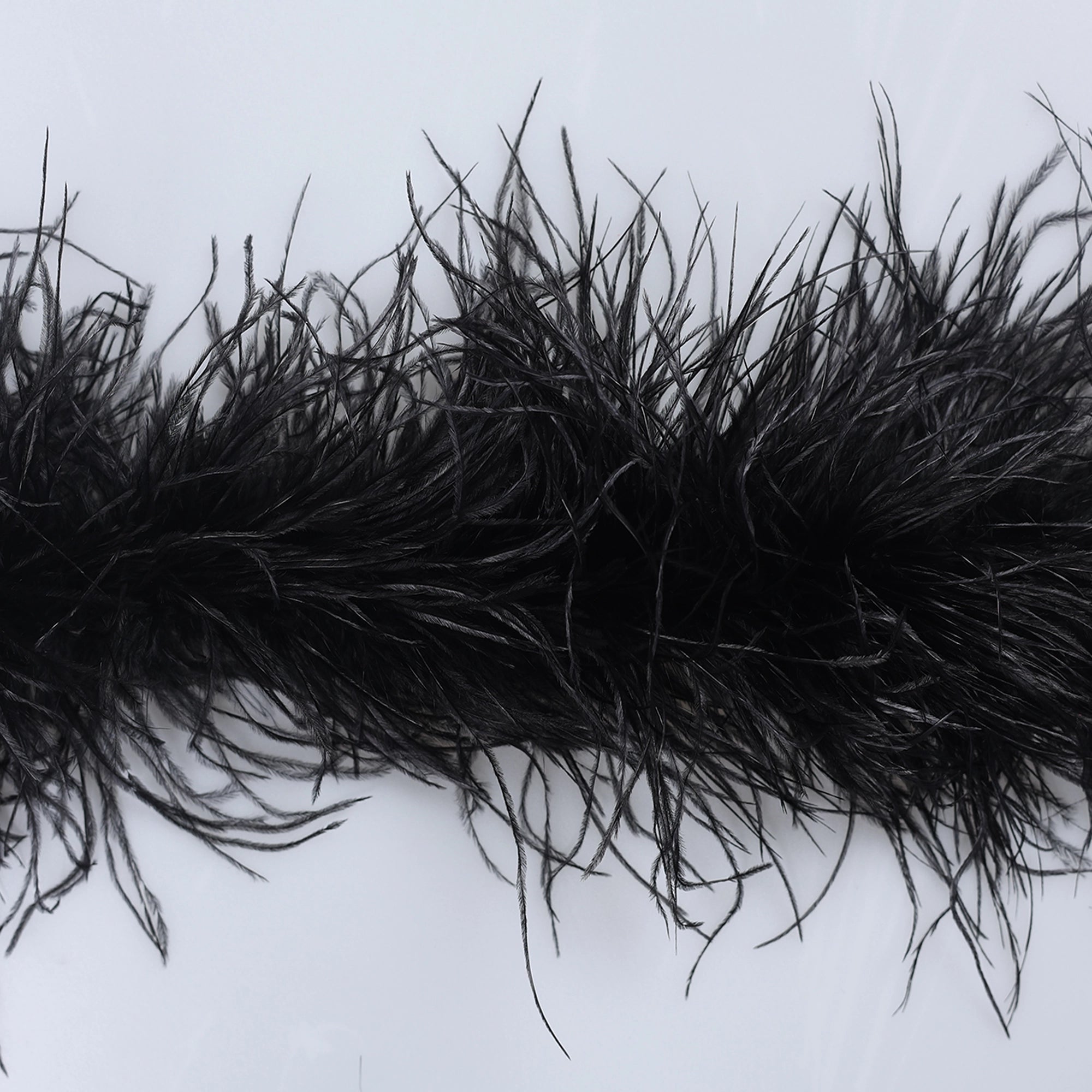 Sal din Pene de Strut - NEGRU