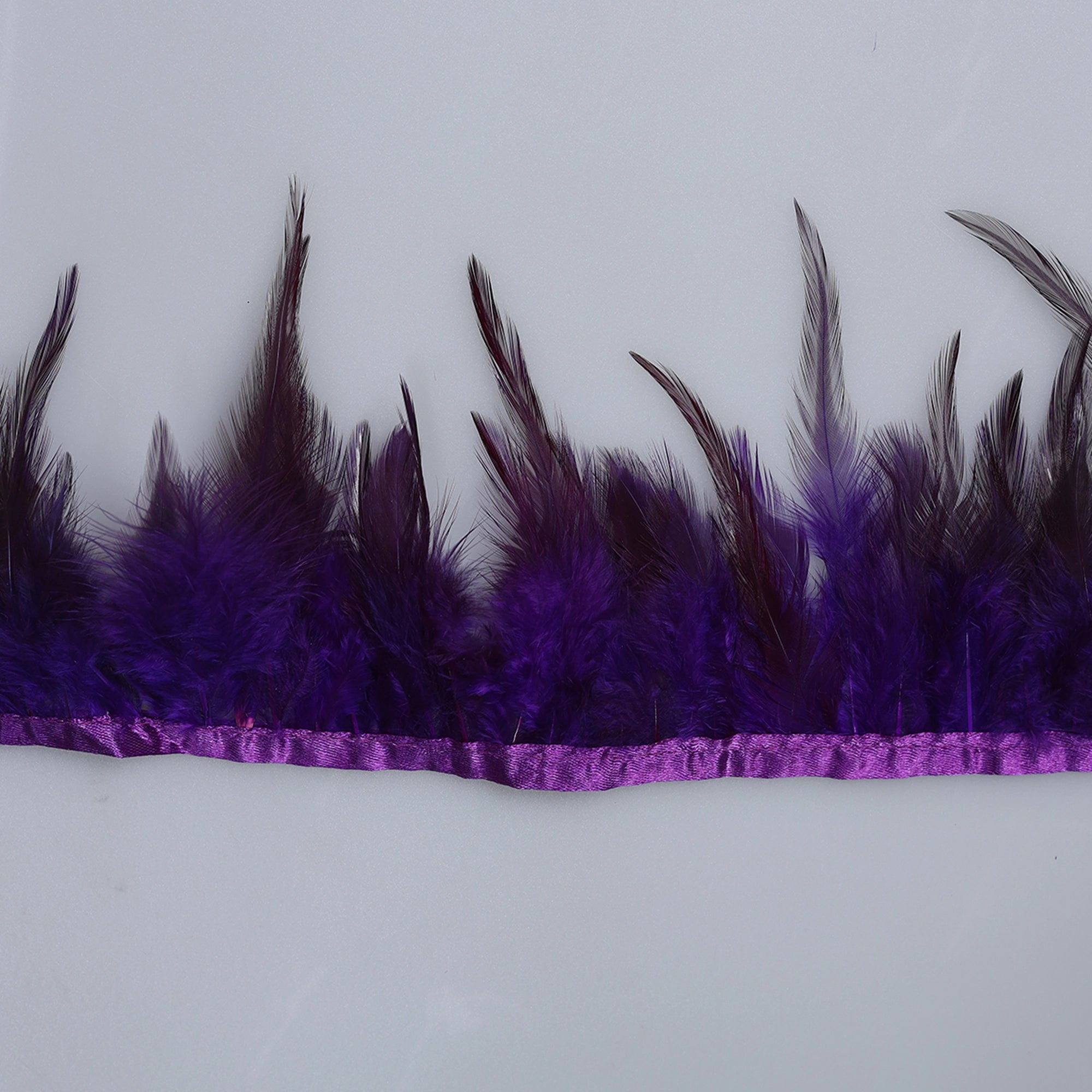 Pene scurte de Cocoș pe bandă M342 - Ahura