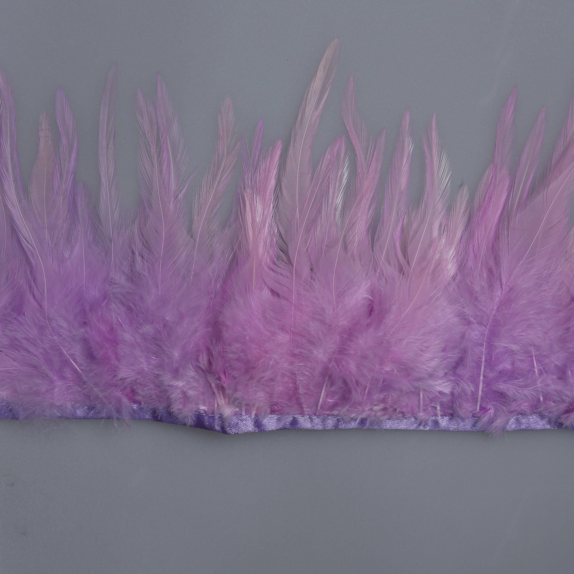 Pene scurte de Cocoș pe bandă M343 - Ahura