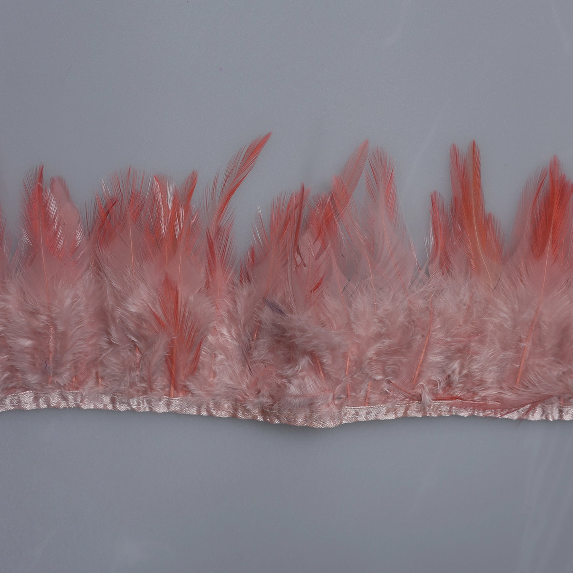 Pene scurte de Cocoș pe bandă M344 - Ahura