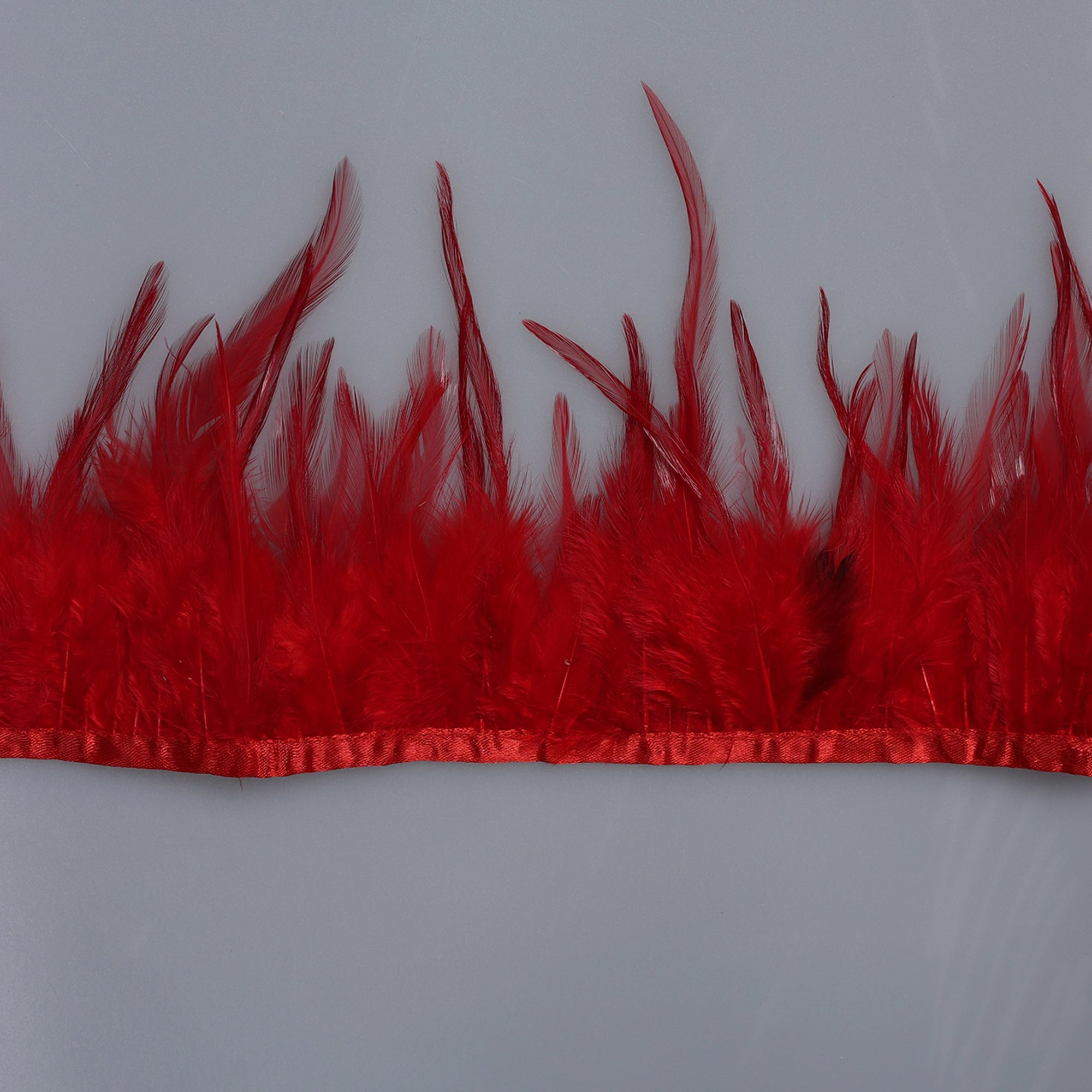 Pene scurte de Cocoș pe bandă M345 - Ahura