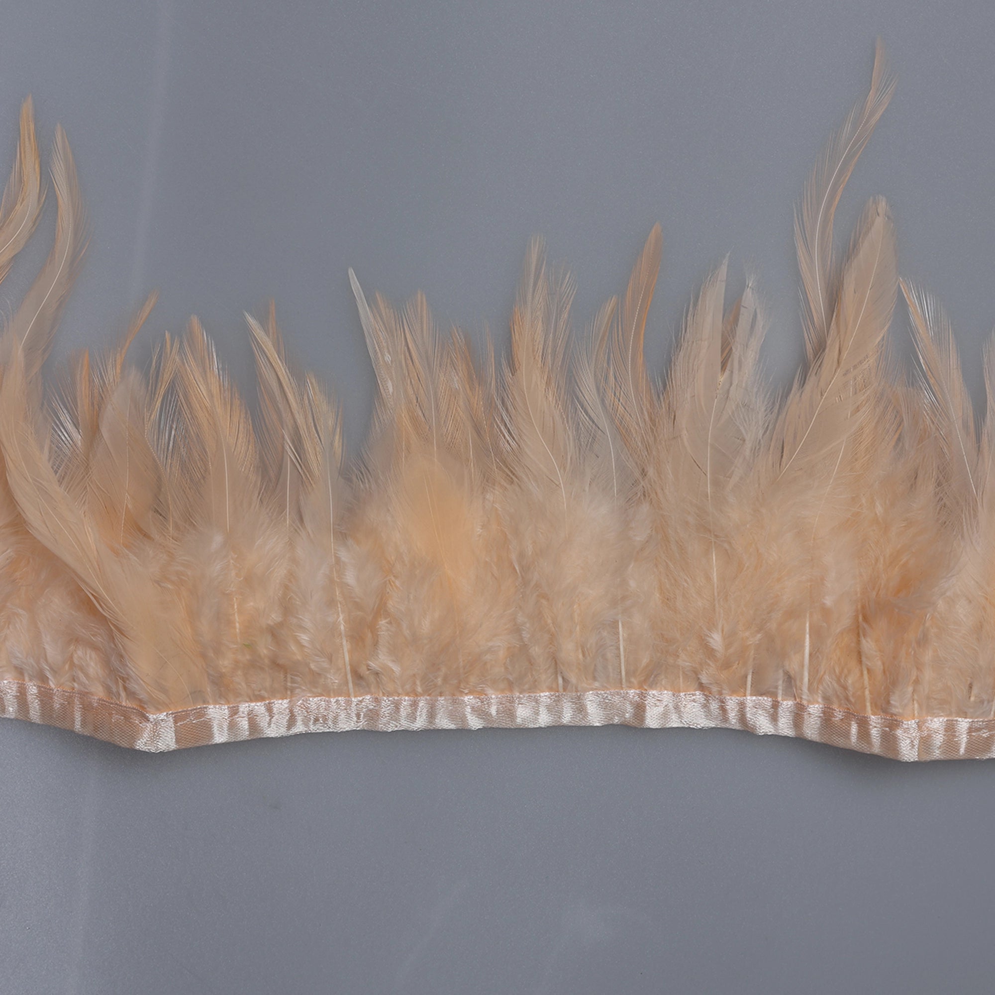 Pene scurte de Cocoș pe bandă M347 - Ahura