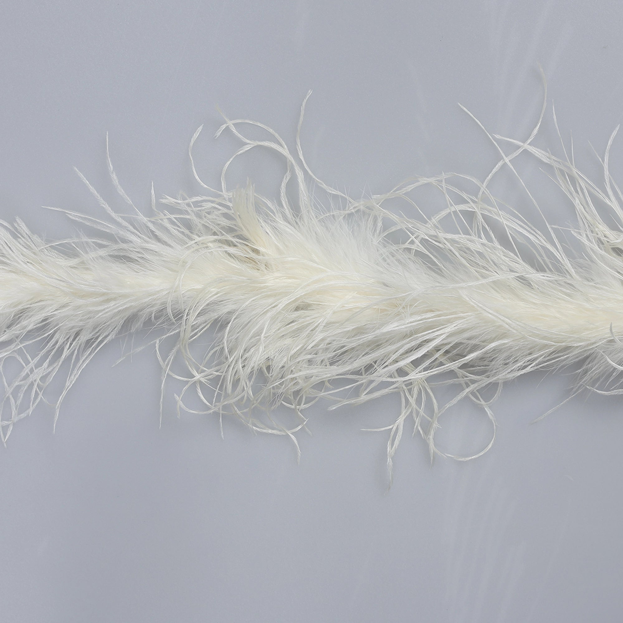 Sal din Pene de Strut M9