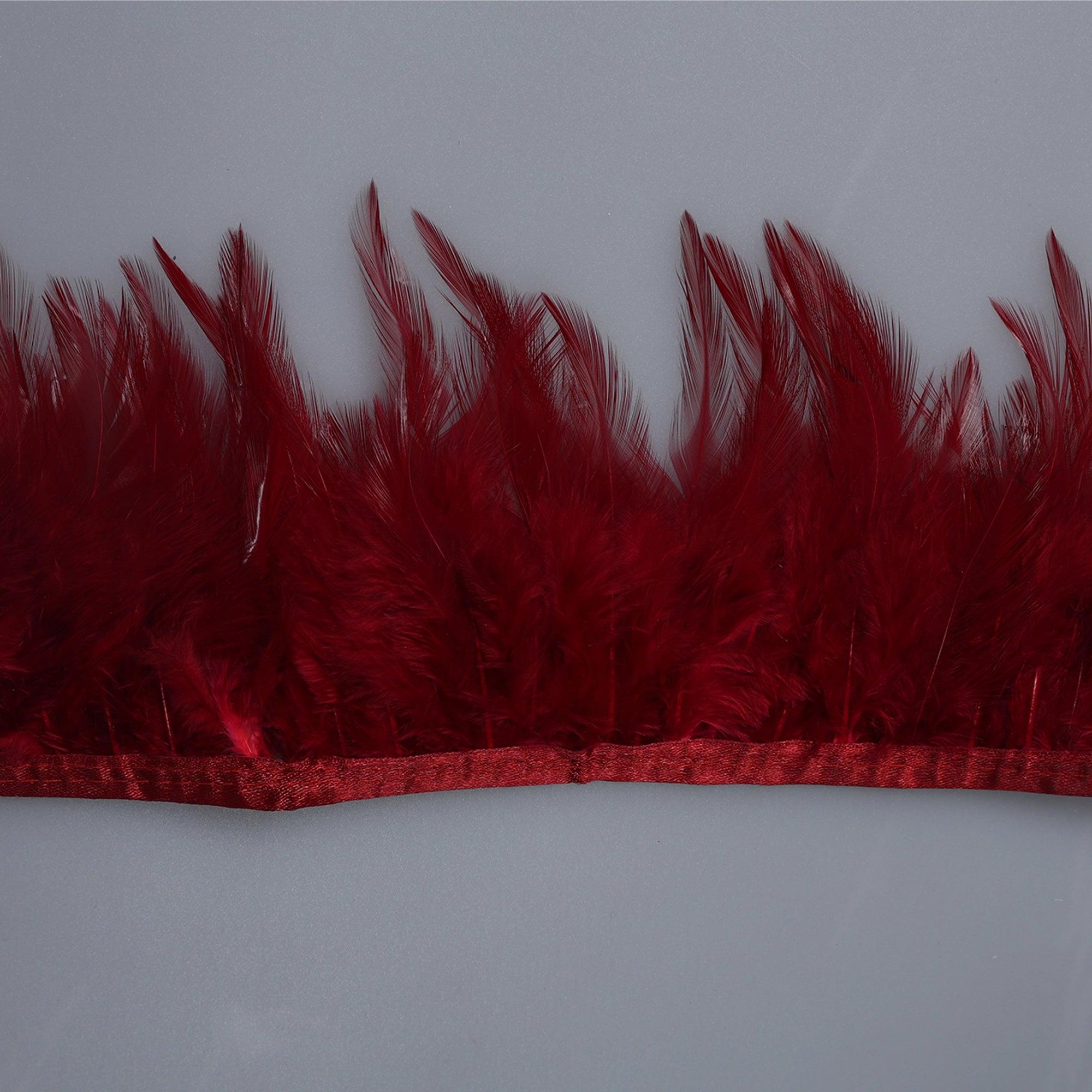 Pene scurte de Cocoș pe bandă M349 - Ahura