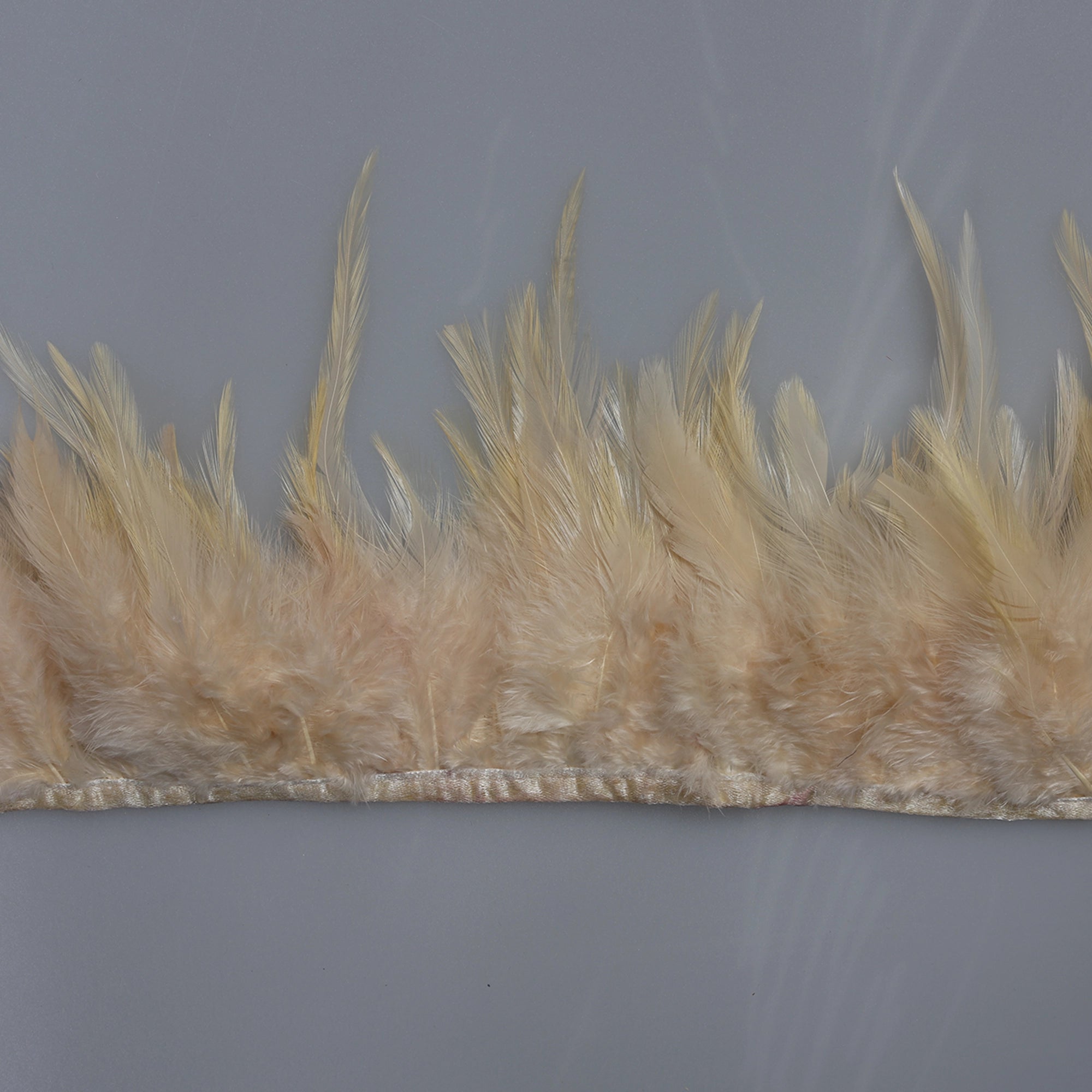 Pene scurte de Cocoș pe bandă M352 - Ahura