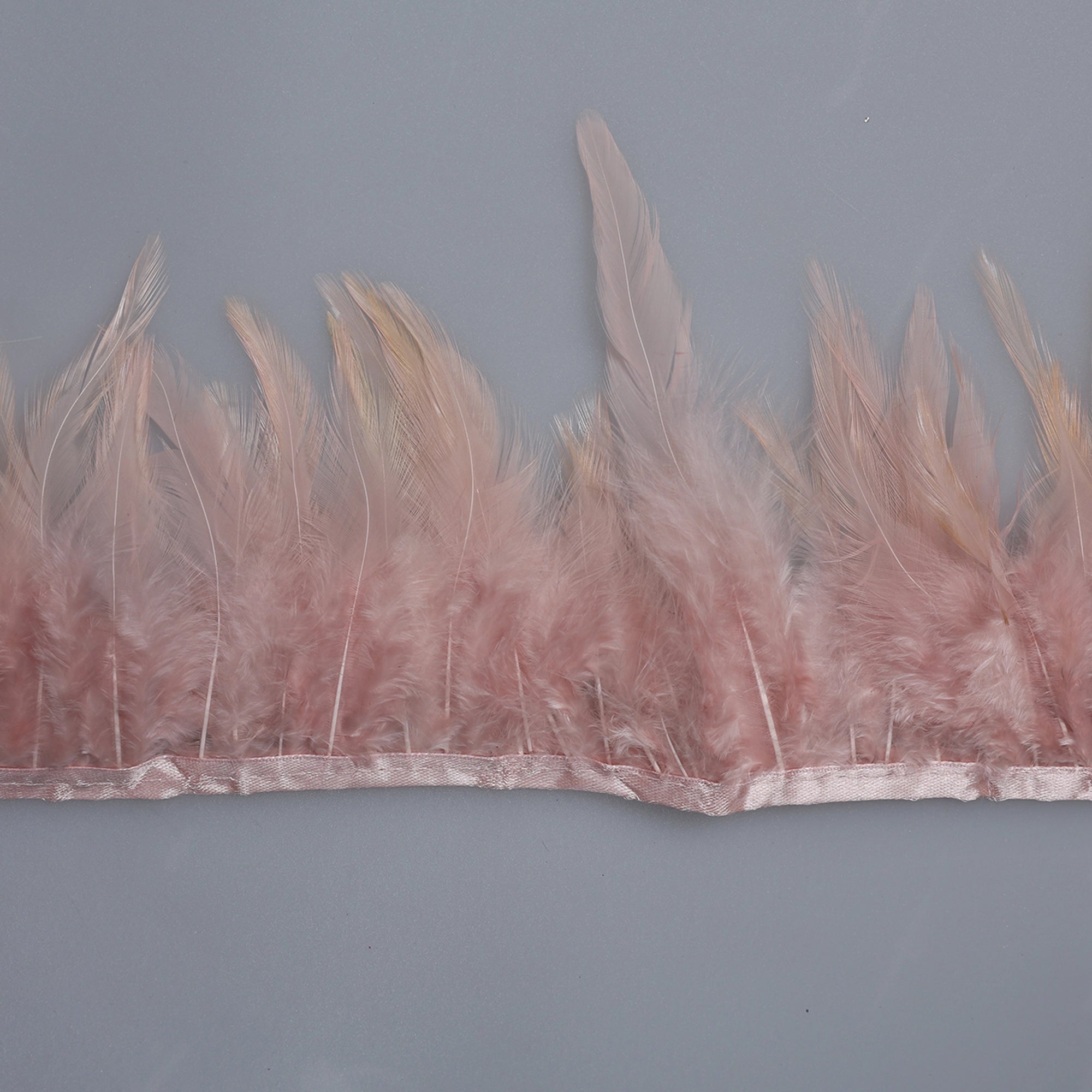 Pene scurte de Cocoș pe bandă M356 - Ahura