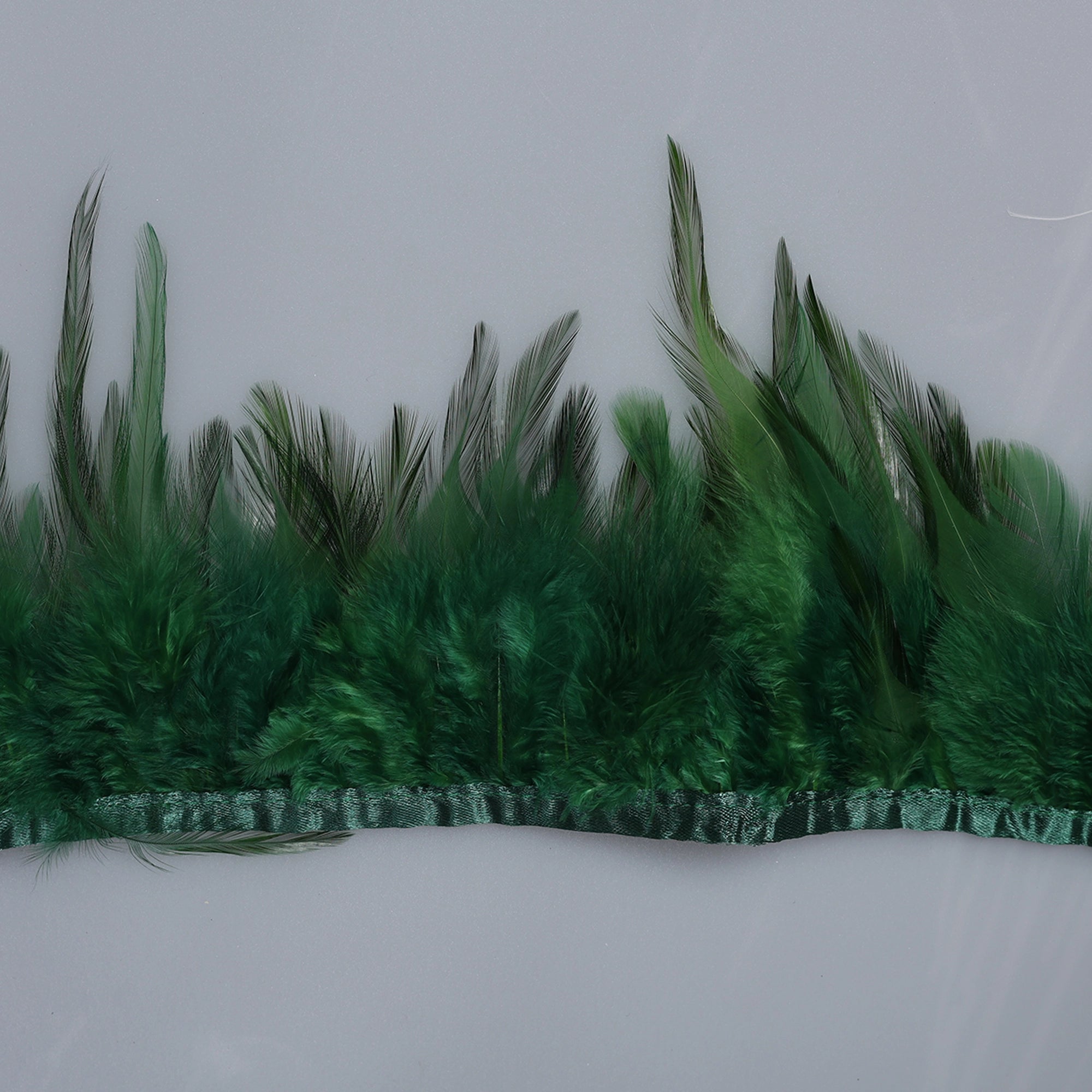 Pene scurte de Cocoș pe bandă M361 - Ahura