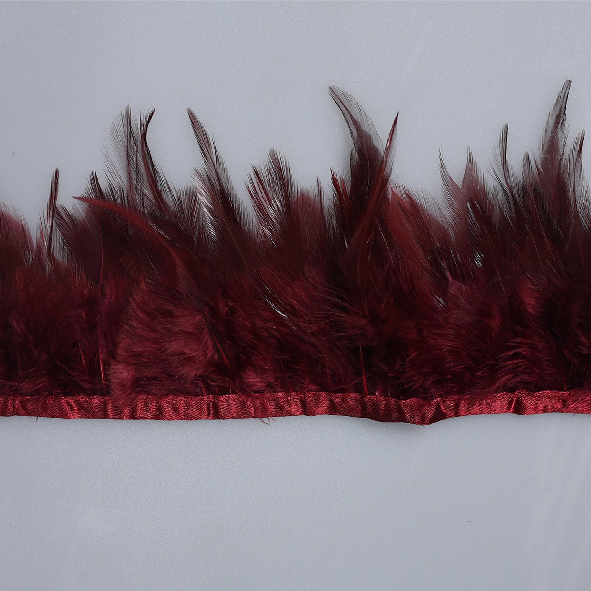 Pene scurte de Cocoș pe bandă M363 - Ahura