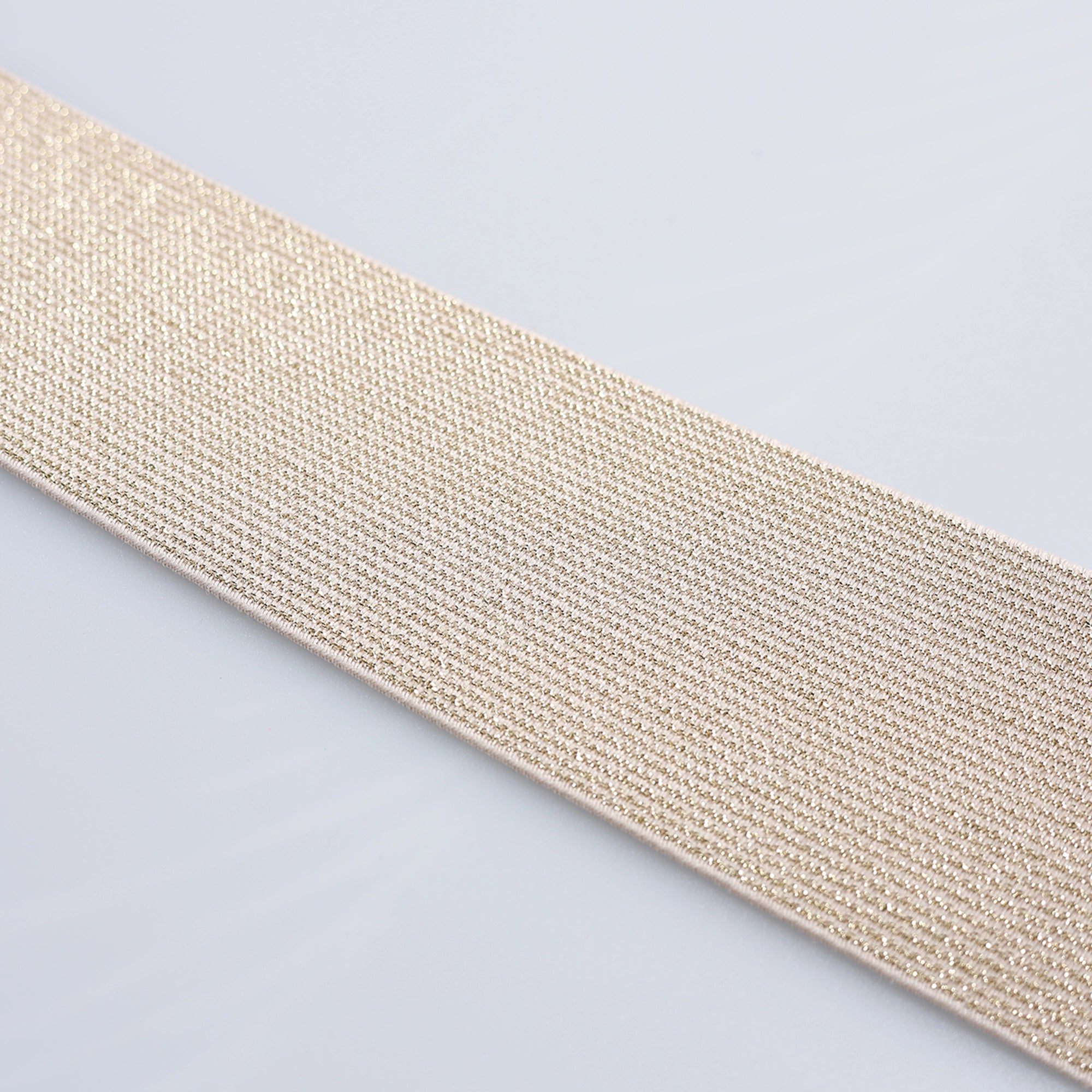 Elastic cu Sclipici Neted 6cm M16