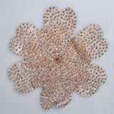 Aplicatii cu strasuri M5 - Ahura