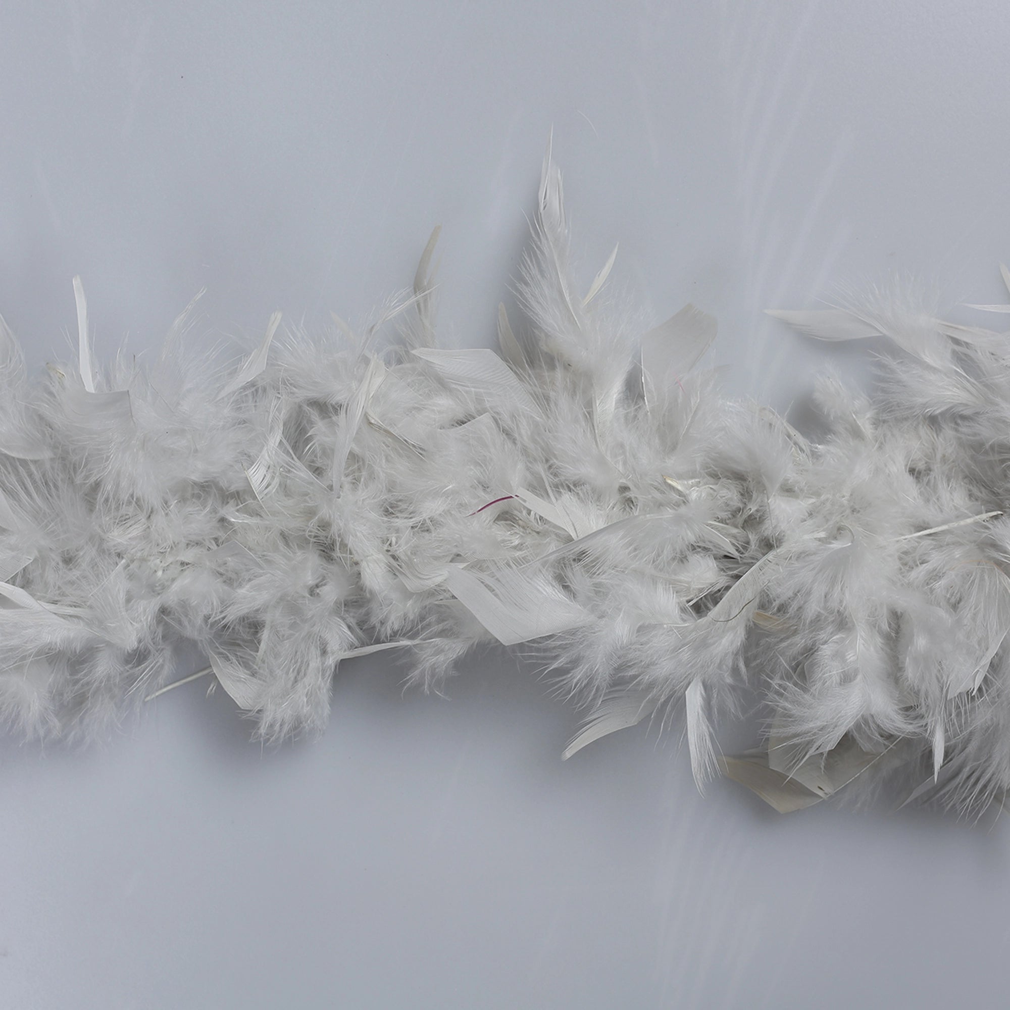 Sal din Pene de Strut M16