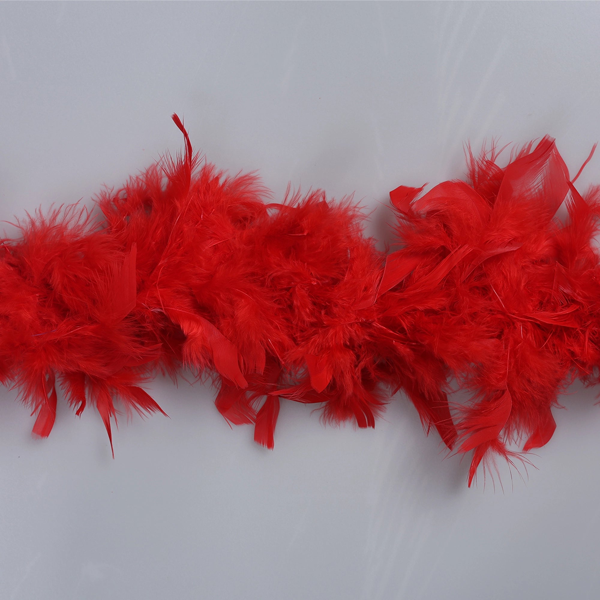 Sal din Pene de Strut M19