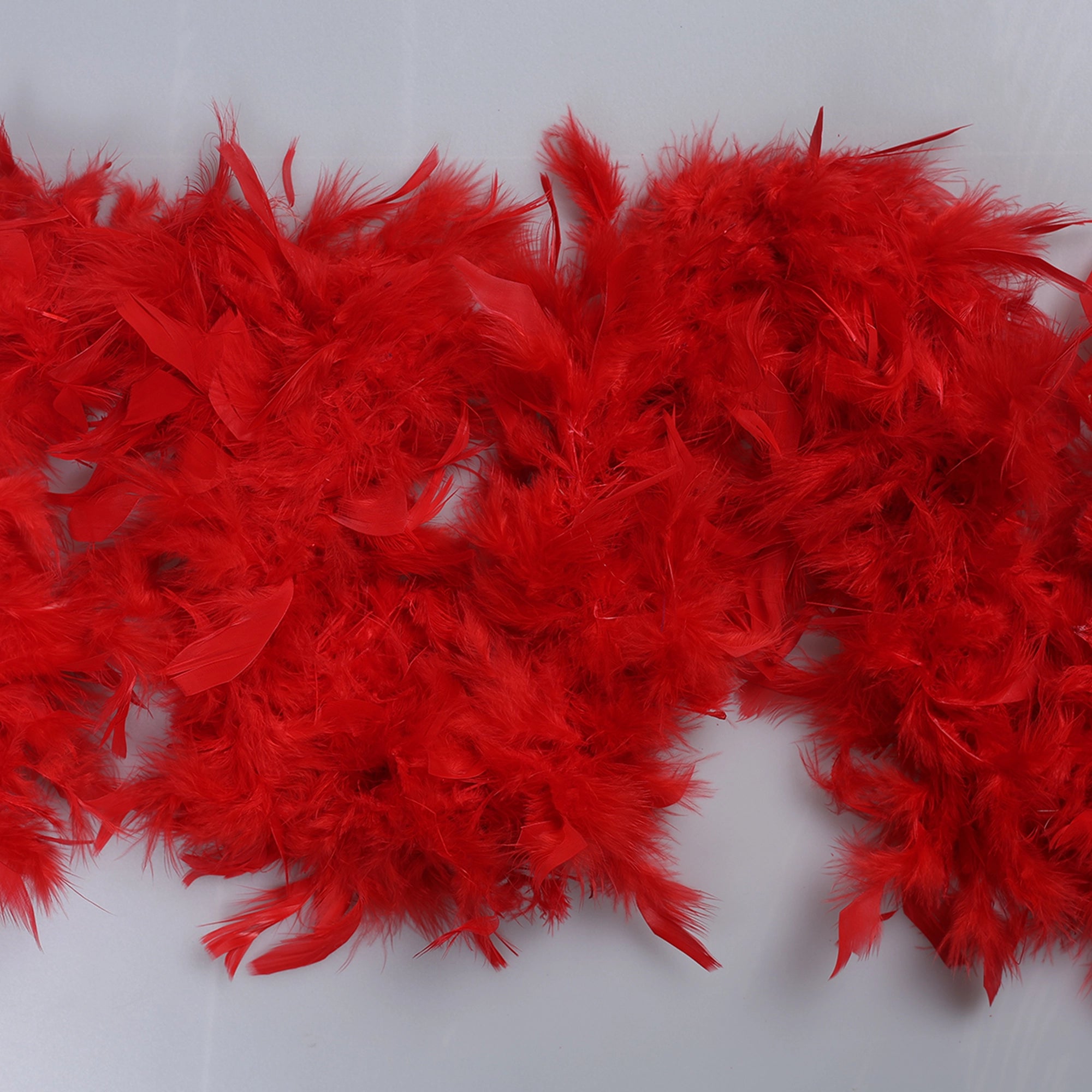 Sal din Pene de Strut M19