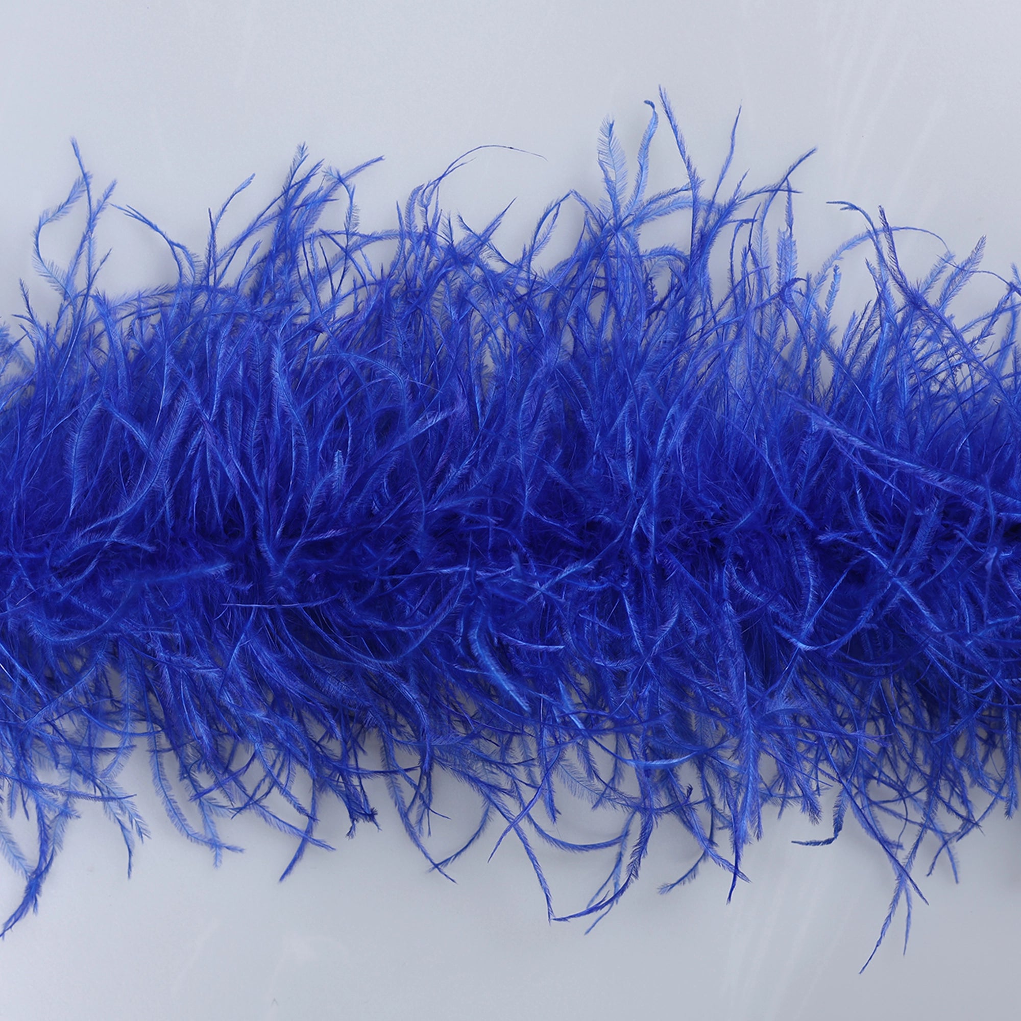 Sal din Pene de Strut - ALBASTRU