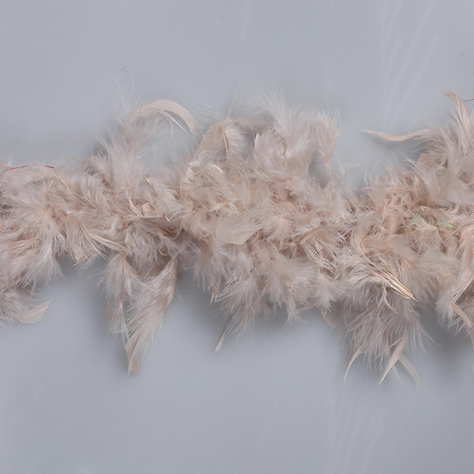 Sal din Pene de Strut M26