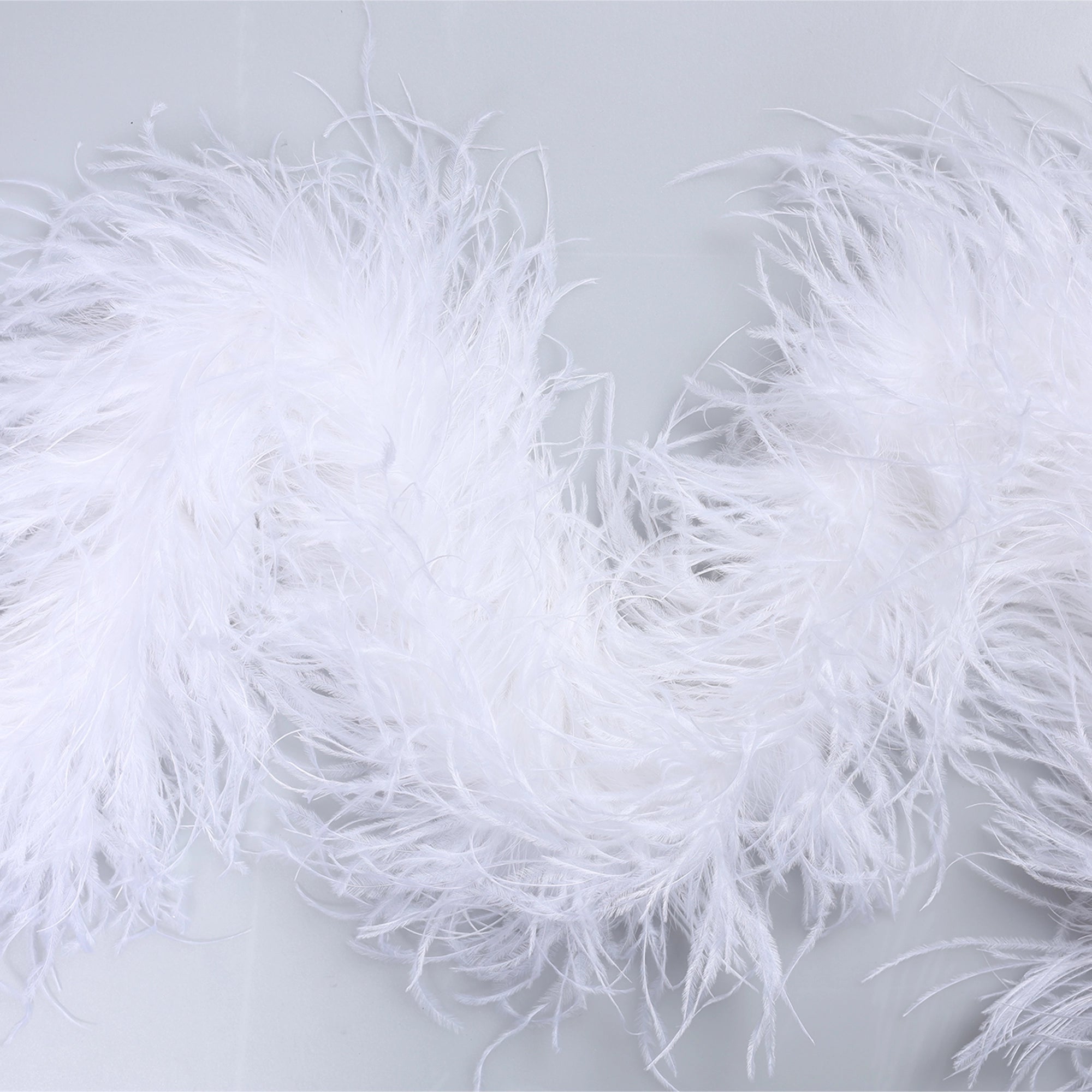 Sal din Pene de Strut - ALB