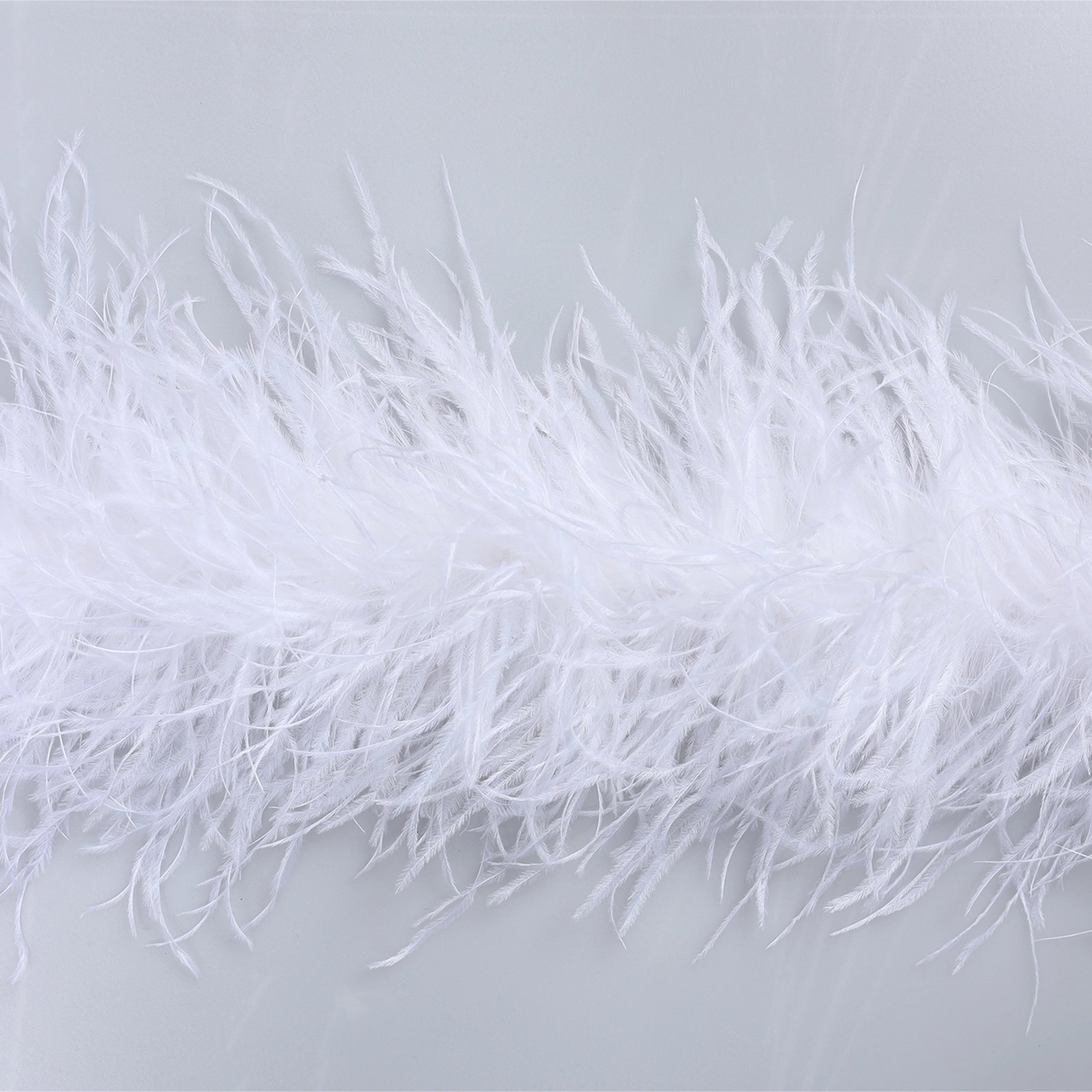 Sal din Pene de Strut - ALB