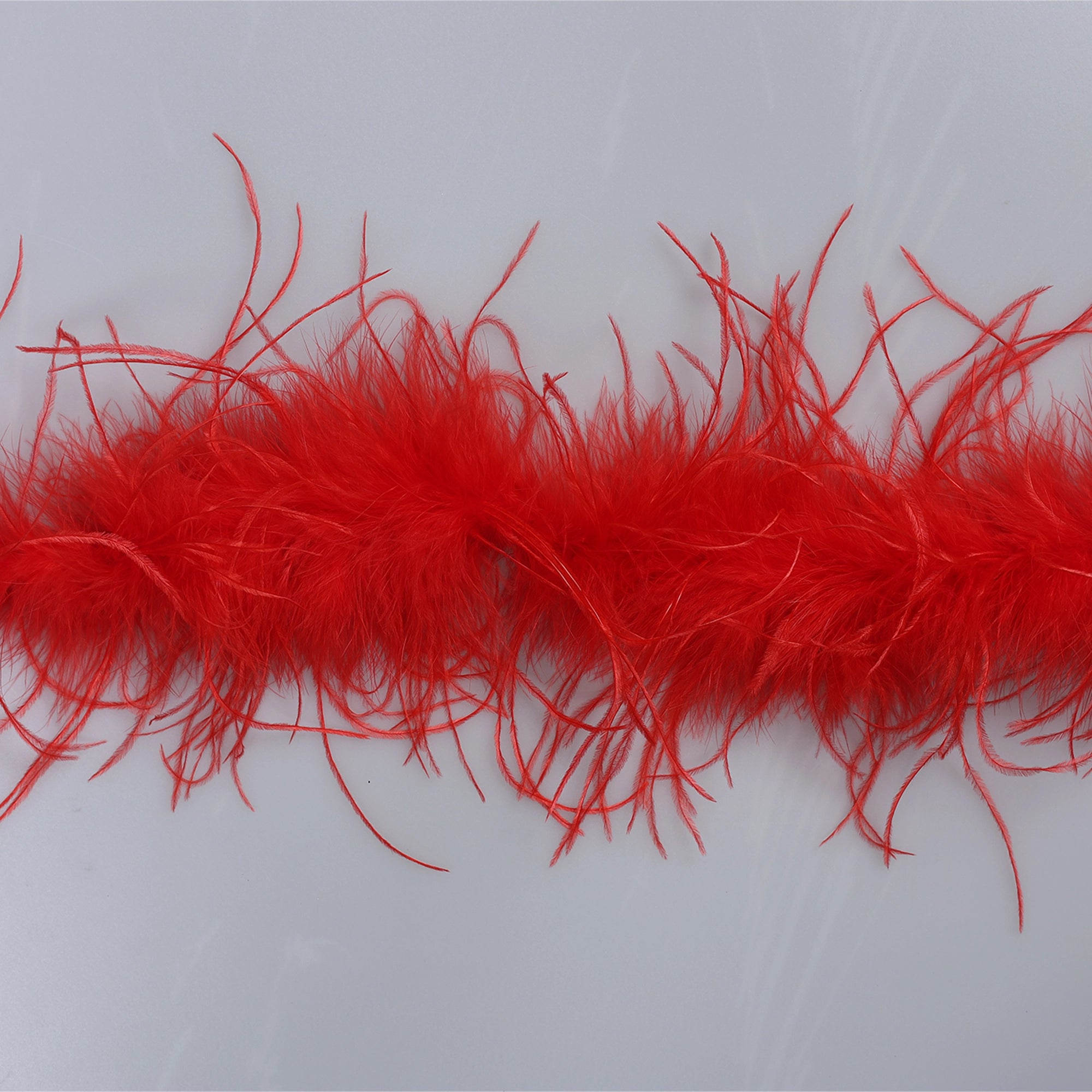 Sal din Pene de Strut M1