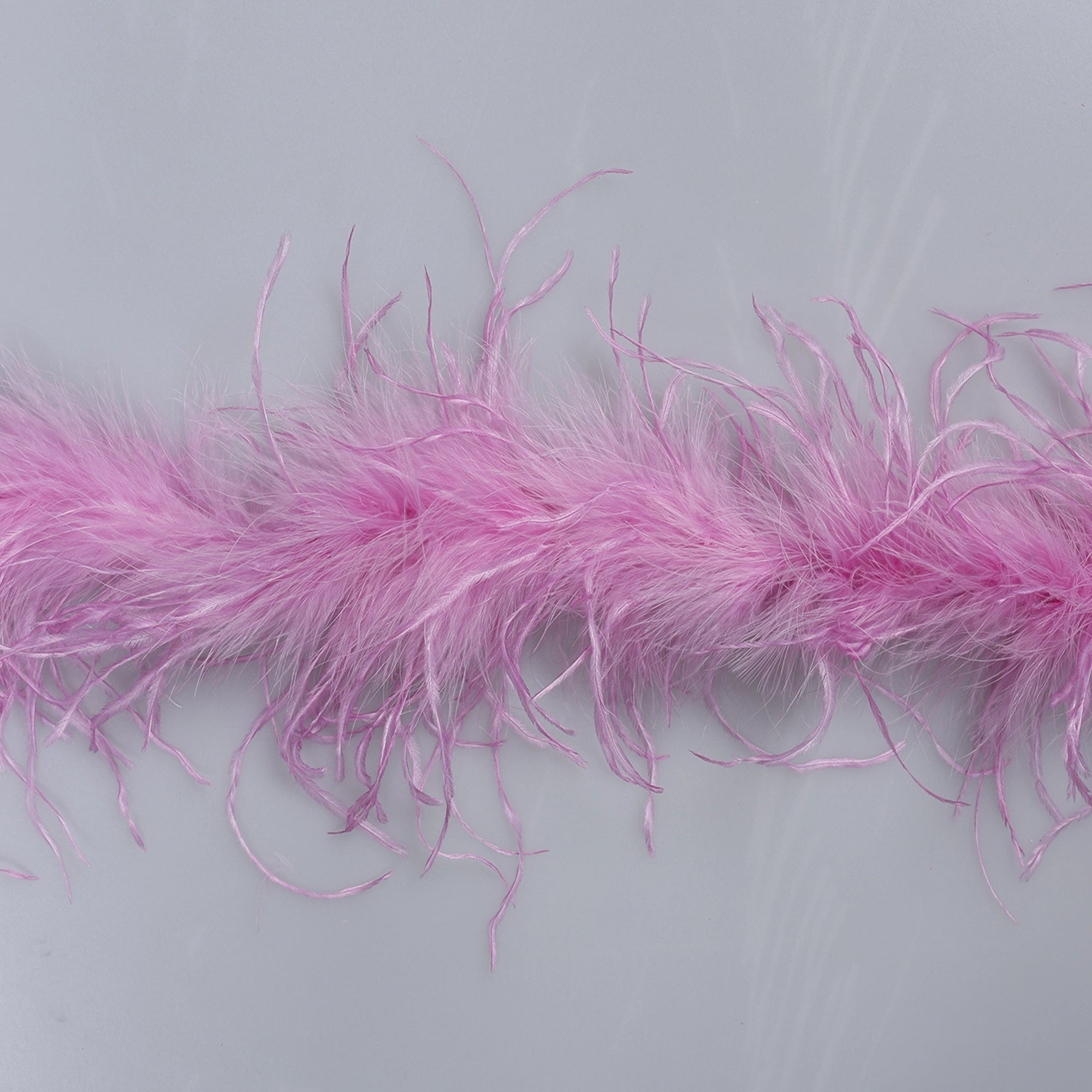 Sal din Pene de Strut M2