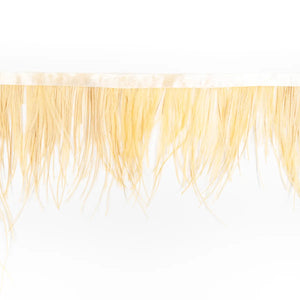 Pene dese in banda strut - Ahura