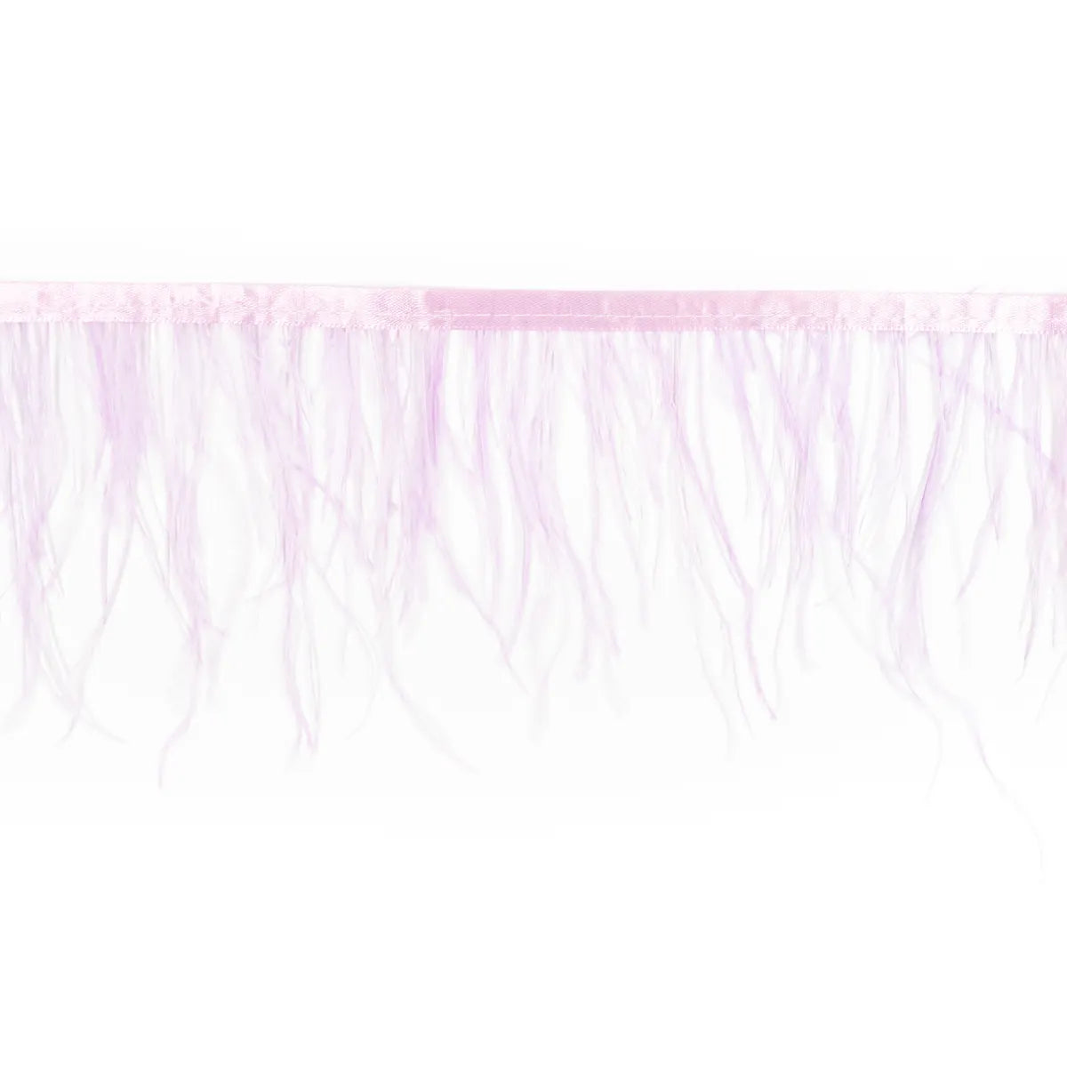 Pene rare in banda strut - Ahura