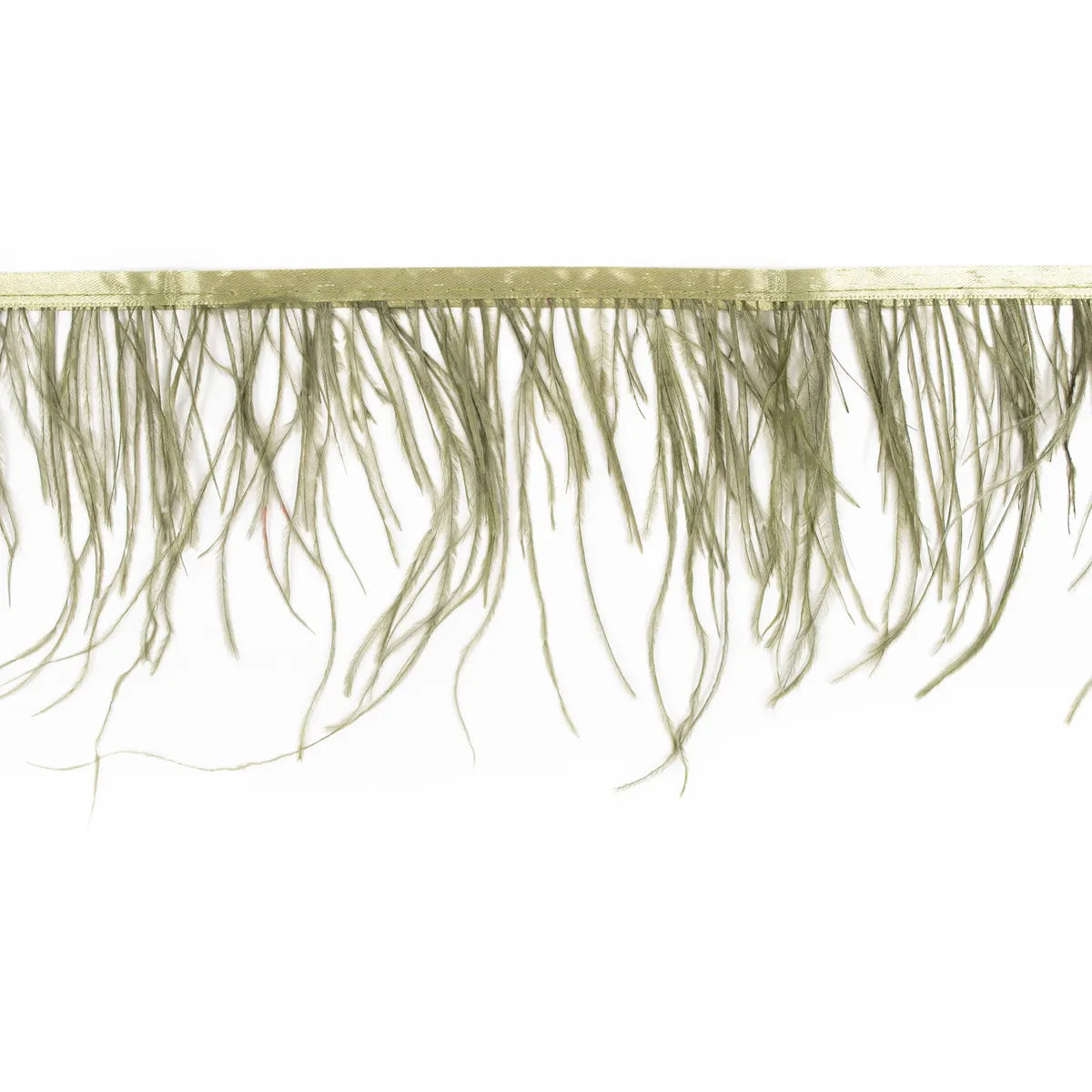 Pene rare in banda strut - Ahura