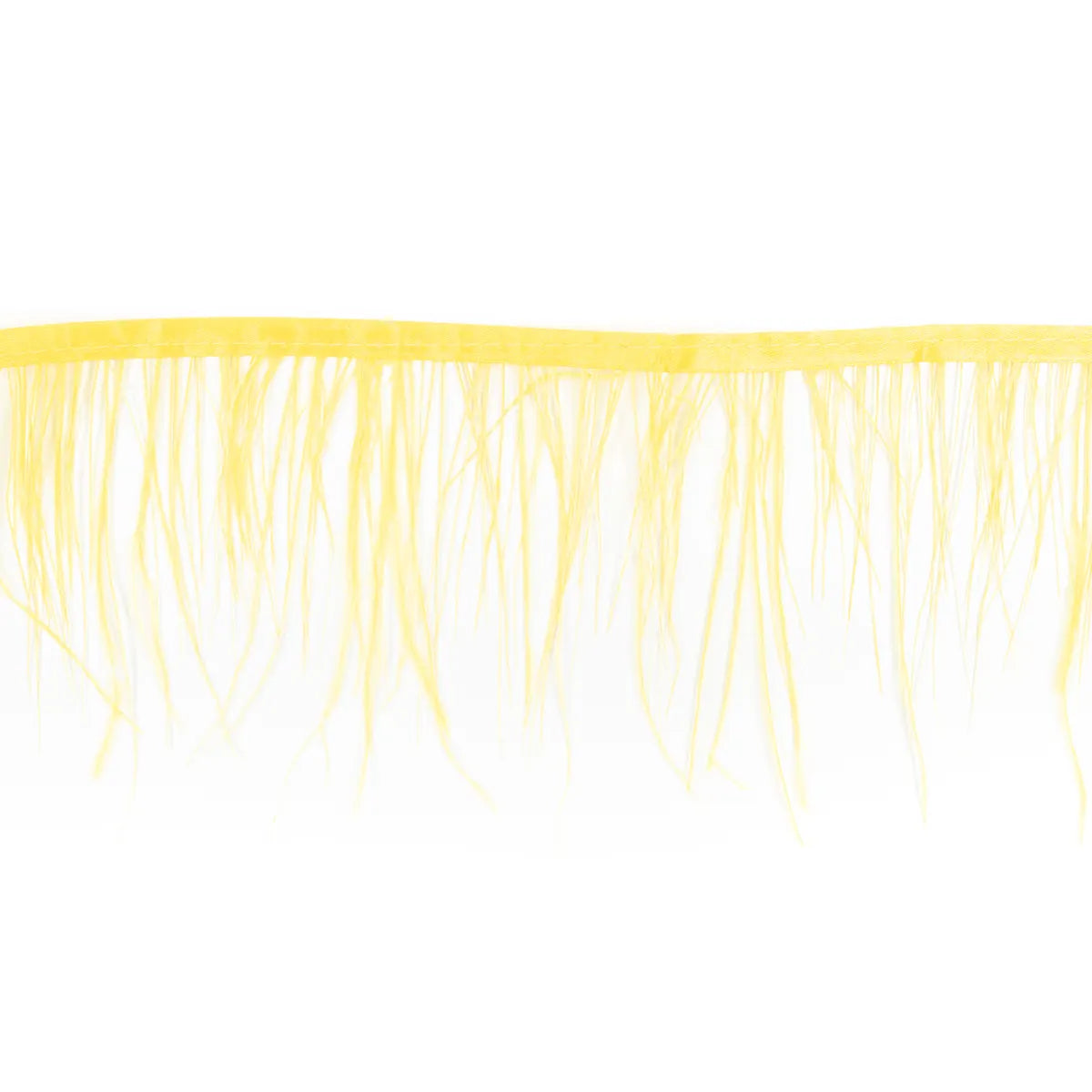 Pene rare in banda strut - Ahura