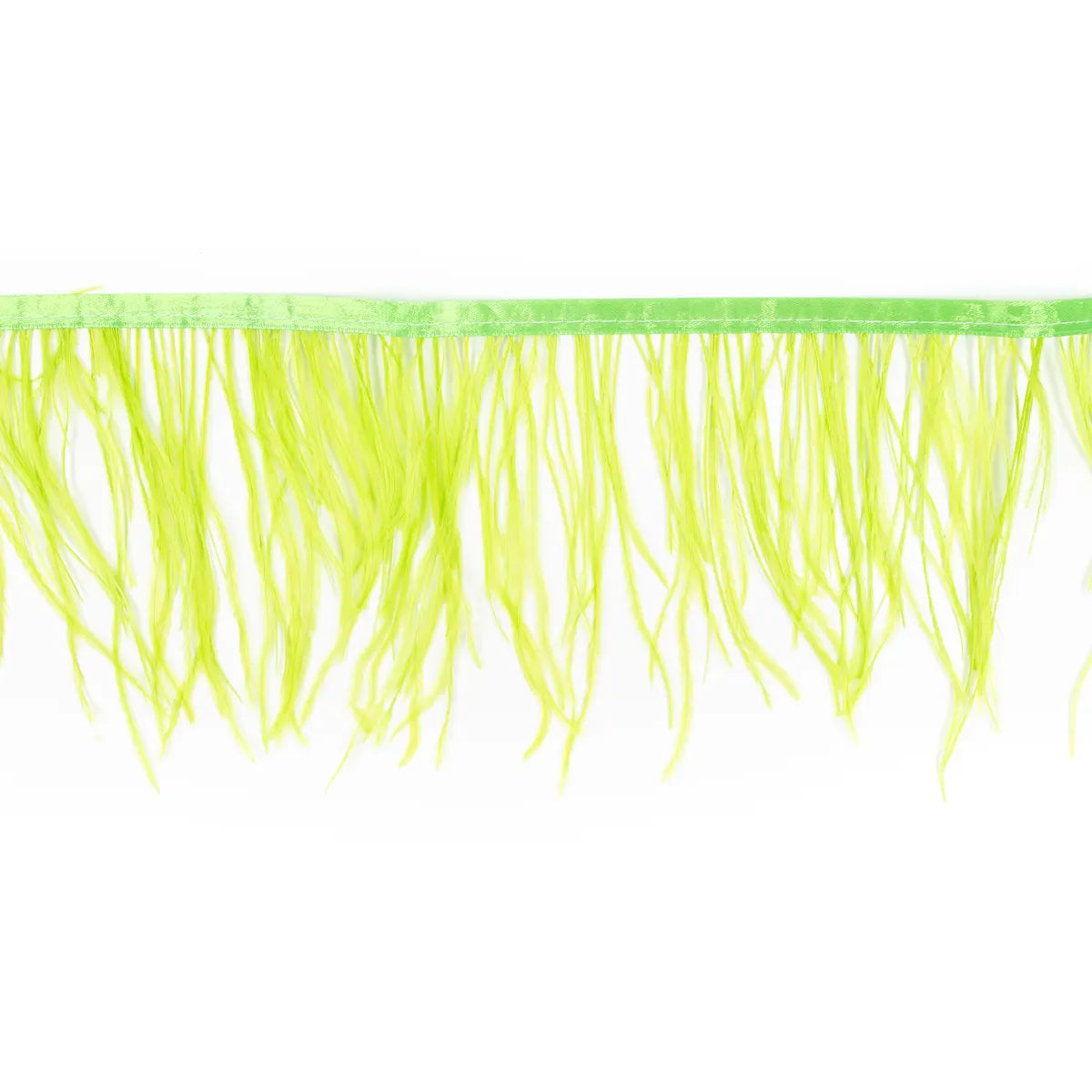 Pene rare in banda strut - Ahura