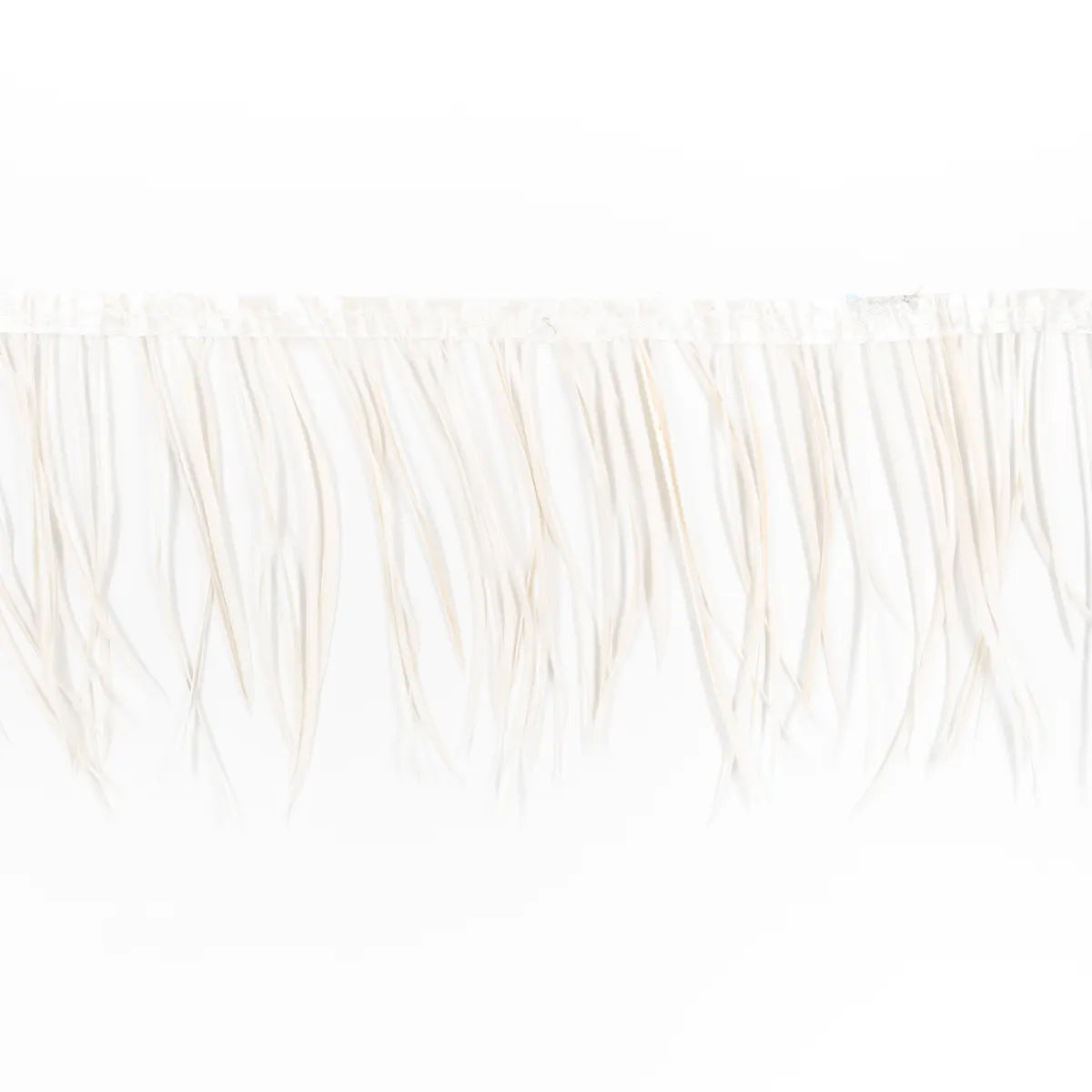 Pene rare in banda strut - Ahura