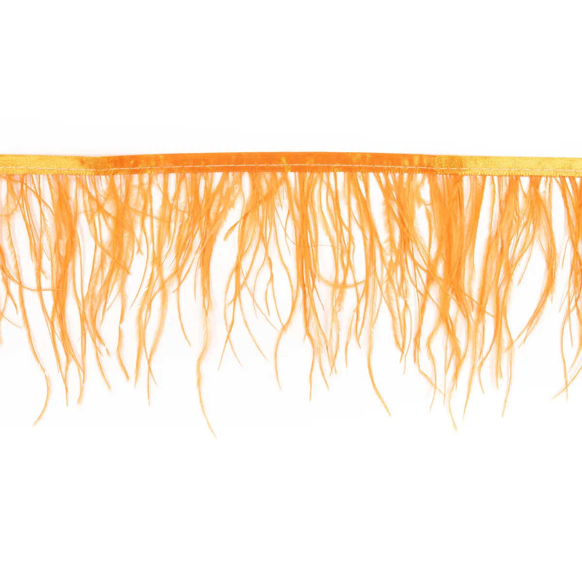 Pene rare in banda strut - Ahura