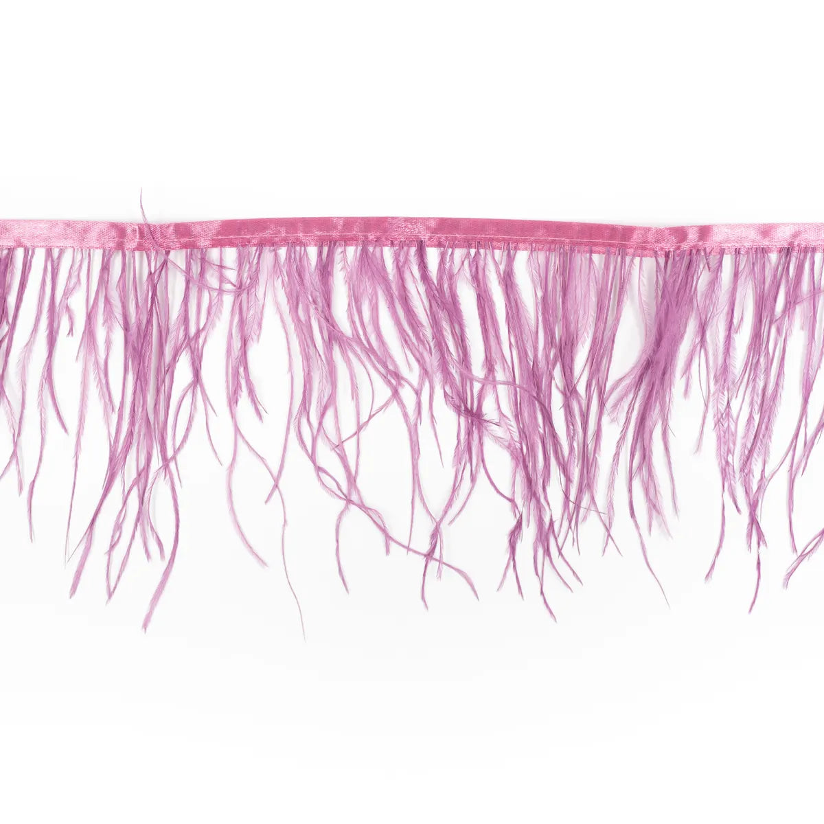 Pene rare in banda strut - Ahura