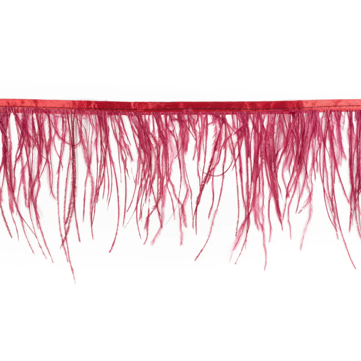 Pene rare in banda strut - Ahura