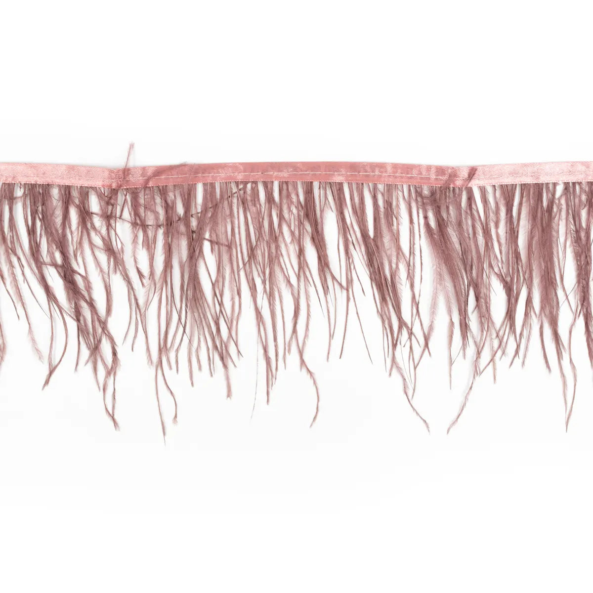 Pene rare in banda strut - Ahura