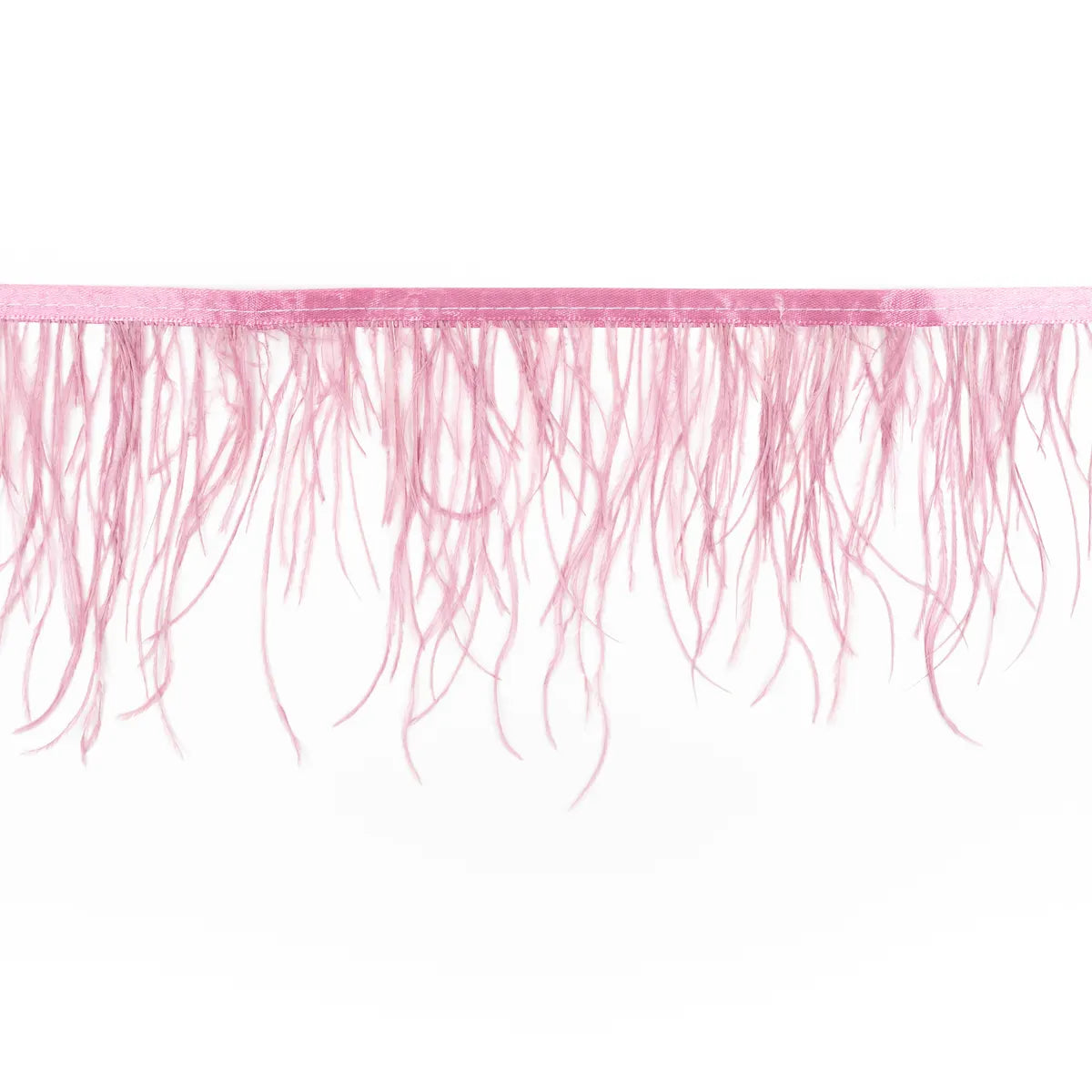 Pene rare in banda strut - Ahura